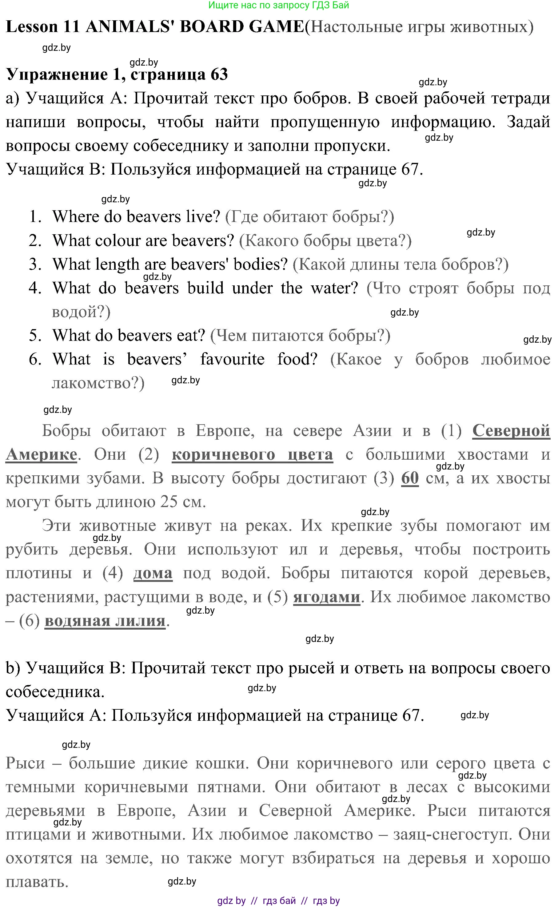 Английский язык (english), 5 класс практикум (activity book ), авторы: Демченко Наталья Валентиновна, Севрюкова Татьяна Юрьевна, Наумова Елена Георгиевна, Лапицкая Людмила Михайловна (Lapitskaya Ludmila), Юхнель Наталья Валентиновна, издательство Аверсэв, Минск, 2019, зелёного цвета, Часть 2, страница 63, номер 1, Решение 1