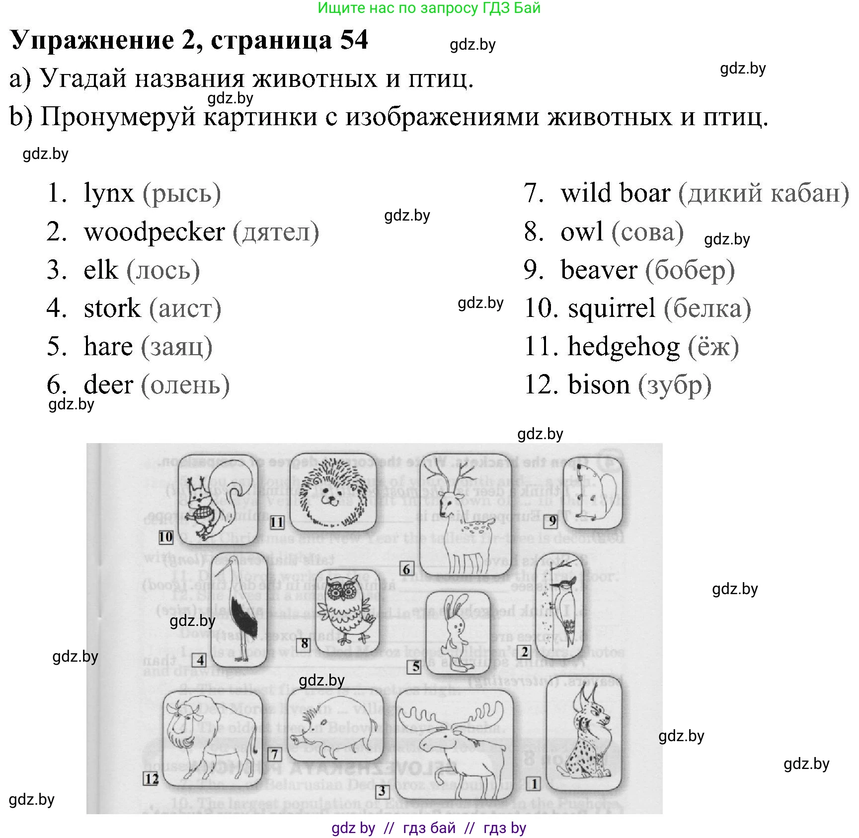 Английский язык (english), 5 класс практикум (activity book ), авторы: Демченко Наталья Валентиновна, Севрюкова Татьяна Юрьевна, Наумова Елена Георгиевна, Лапицкая Людмила Михайловна (Lapitskaya Ludmila), Юхнель Наталья Валентиновна, издательство Аверсэв, Минск, 2019, зелёного цвета, Часть 2, страница 54, номер 2, Решение 1