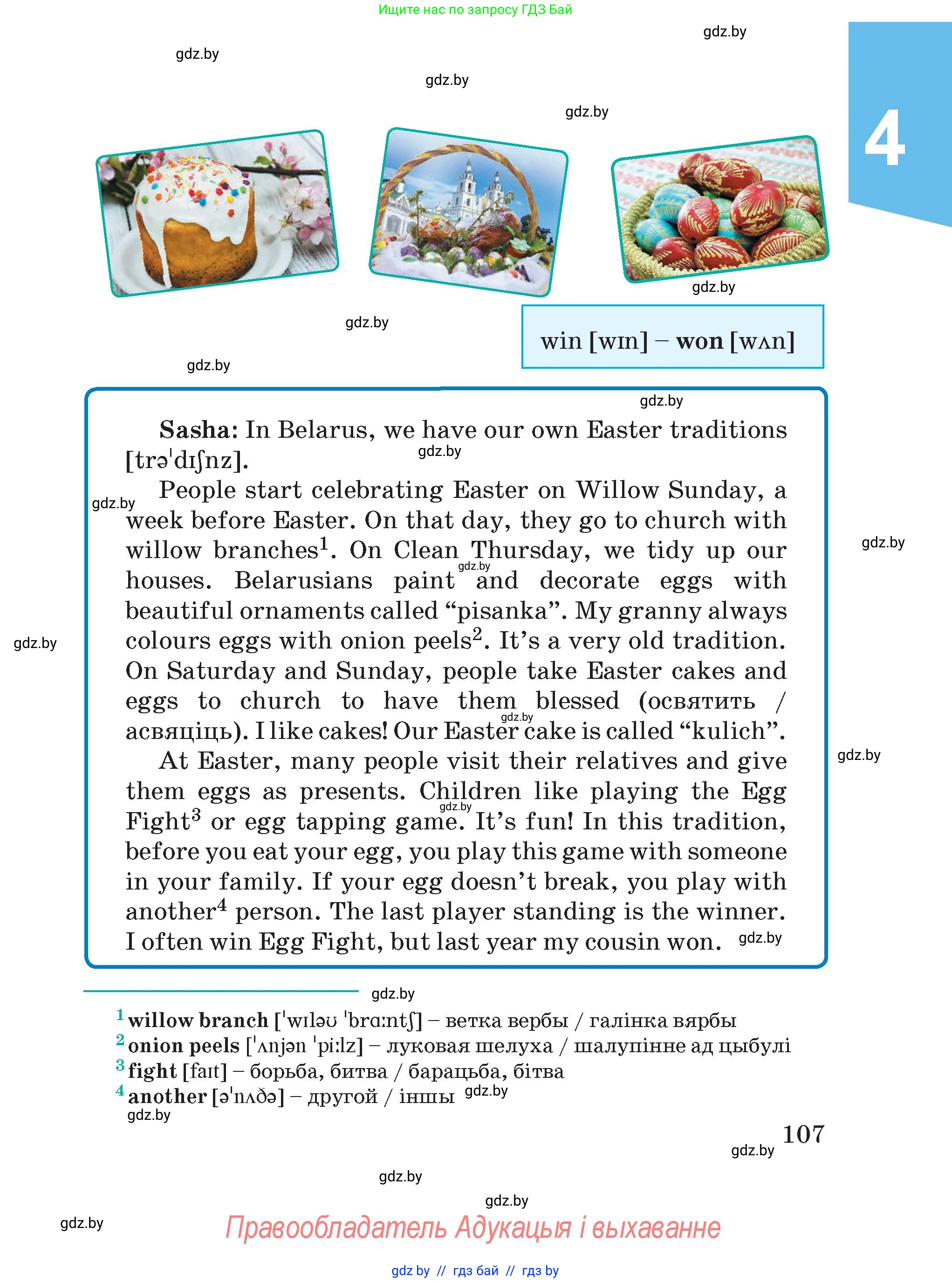 Английский язык (english), 5 класс Учебник (Student's book), авторы: Демченко Наталья Валентиновна, Лапицкая Людмила Михайловна (Lapitskaya Ludmila), Юхнель Наталья Валентиновна, Романчук Вероника Романовна, издательство Адукацыя i выхаванне, Минск, 2025, страница 107