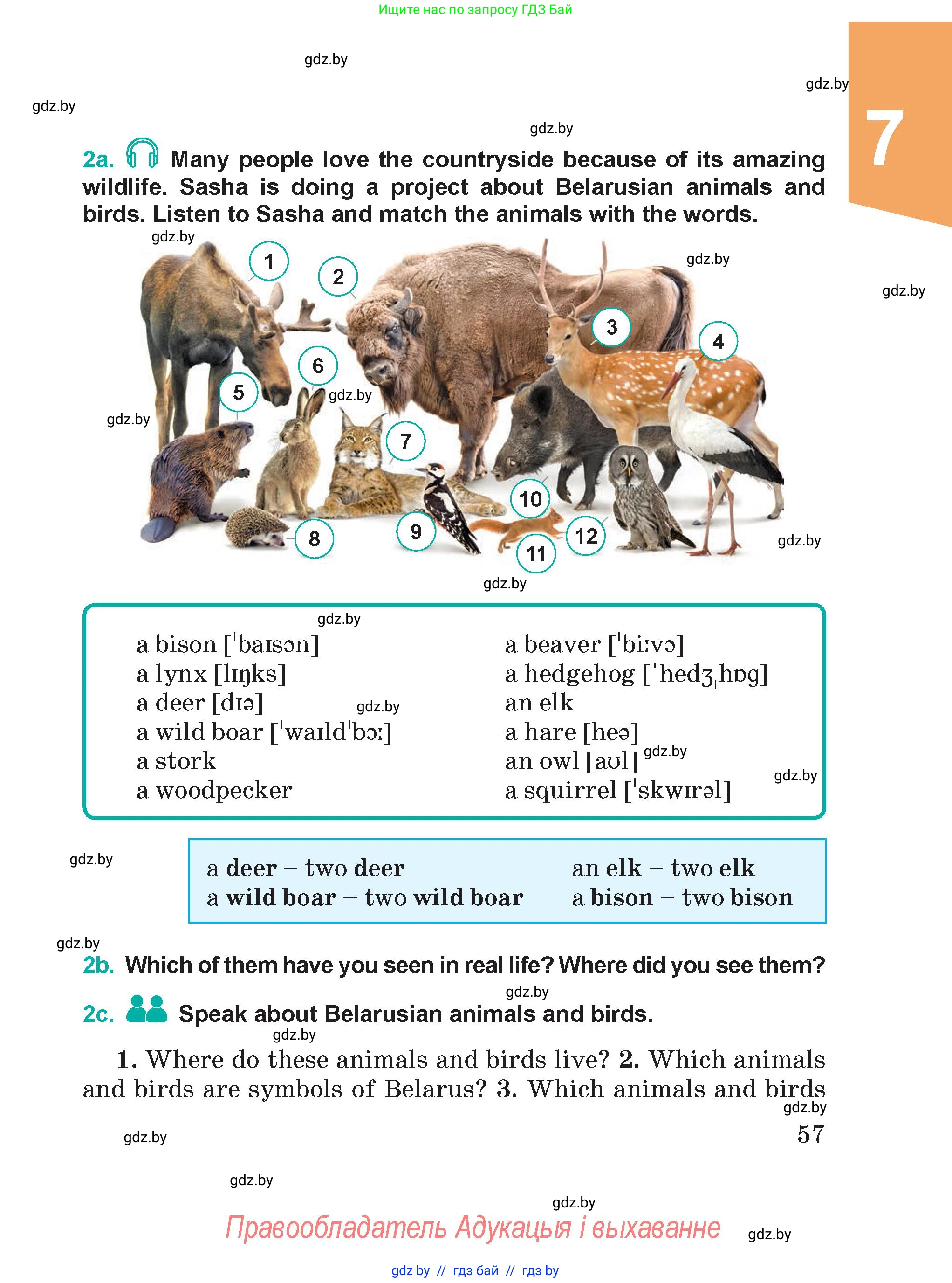 Английский язык (english), 5 класс Учебник (Student's book), авторы: Демченко Наталья Валентиновна, Лапицкая Людмила Михайловна (Lapitskaya Ludmila), Юхнель Наталья Валентиновна, Романчук Вероника Романовна, издательство Адукацыя i выхаванне, Минск, 2025, Часть 2, страница 57