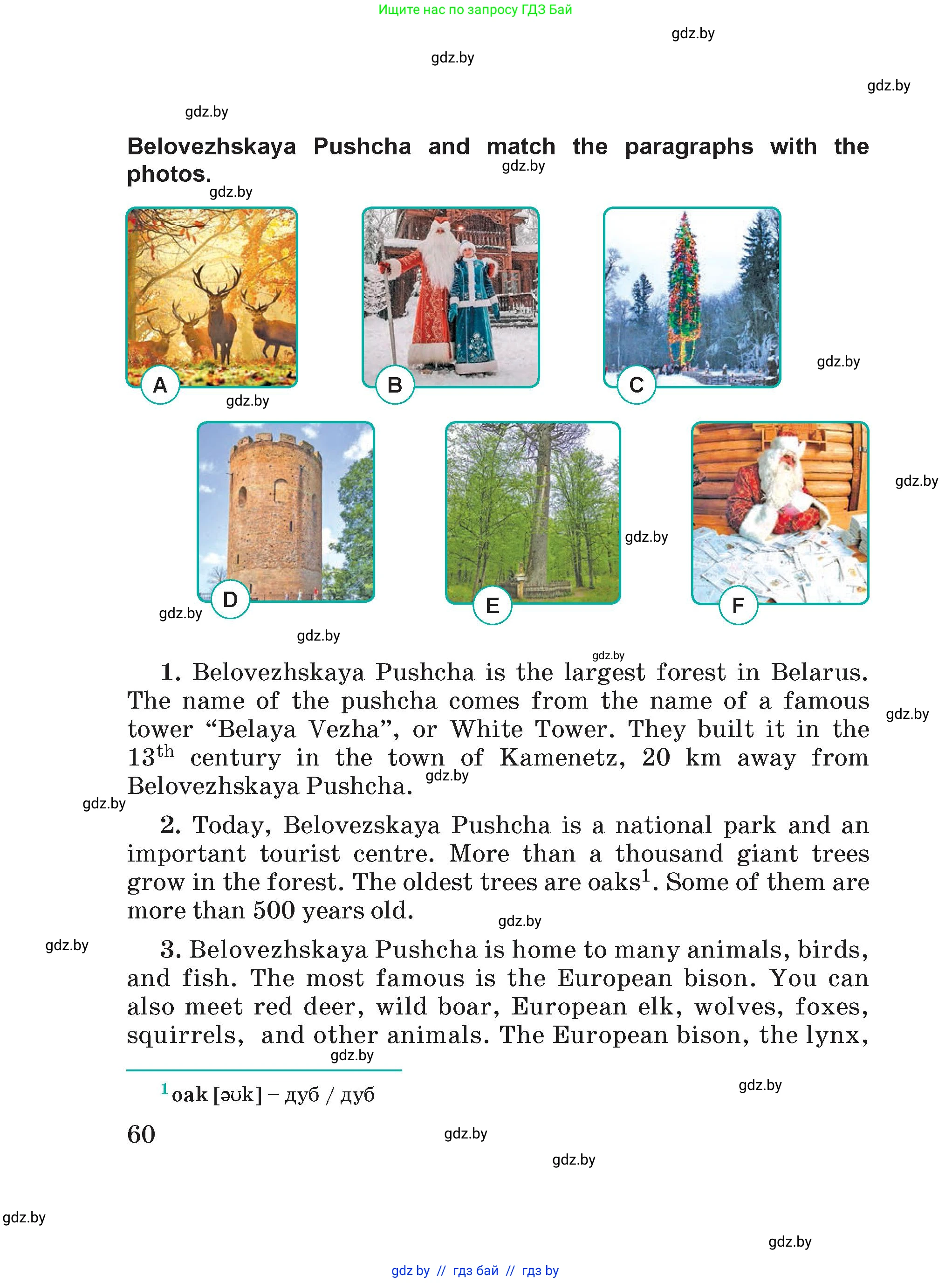 Английский язык (english), 5 класс Учебник (Student's book), авторы: Демченко Наталья Валентиновна, Лапицкая Людмила Михайловна (Lapitskaya Ludmila), Юхнель Наталья Валентиновна, Романчук Вероника Романовна, издательство Адукацыя i выхаванне, Минск, 2025, страница 60