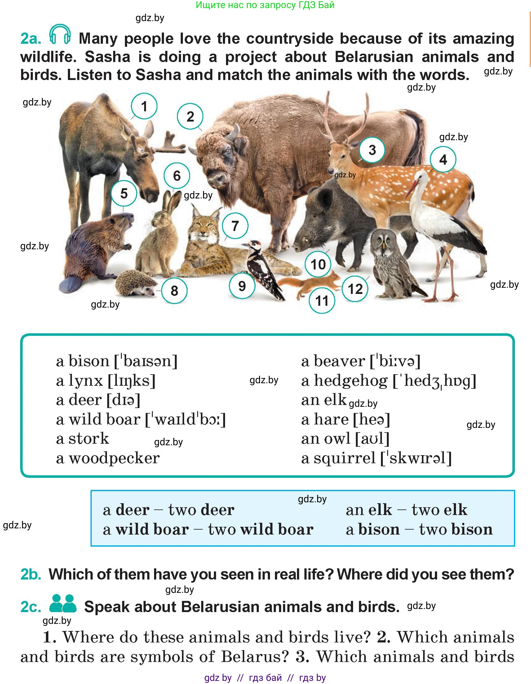 Английский язык (english), 5 класс Учебник (Student's book), авторы: Демченко Наталья Валентиновна, Лапицкая Людмила Михайловна (Lapitskaya Ludmila), Юхнель Наталья Валентиновна, Романчук Вероника Романовна, издательство Адукацыя i выхаванне, Минск, 2025, Часть 2, страница 57, номер 2, Условие