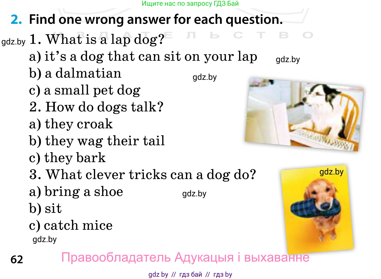 Английский язык (english), 5 класс Учебник, авторы: Демченко Наталья Валентиновна, Севрюкова Татьяна Юрьевна, Наумова Елена Георгиевна, Юхнель Наталья Валентиновна, Лапицкая Людмила Михайловна (Lapitskaya Ludmila), издательство Адукацыя i выхаванне, Минск, 2017, Часть ( Part) 1, страница 62, номер 2, Условие