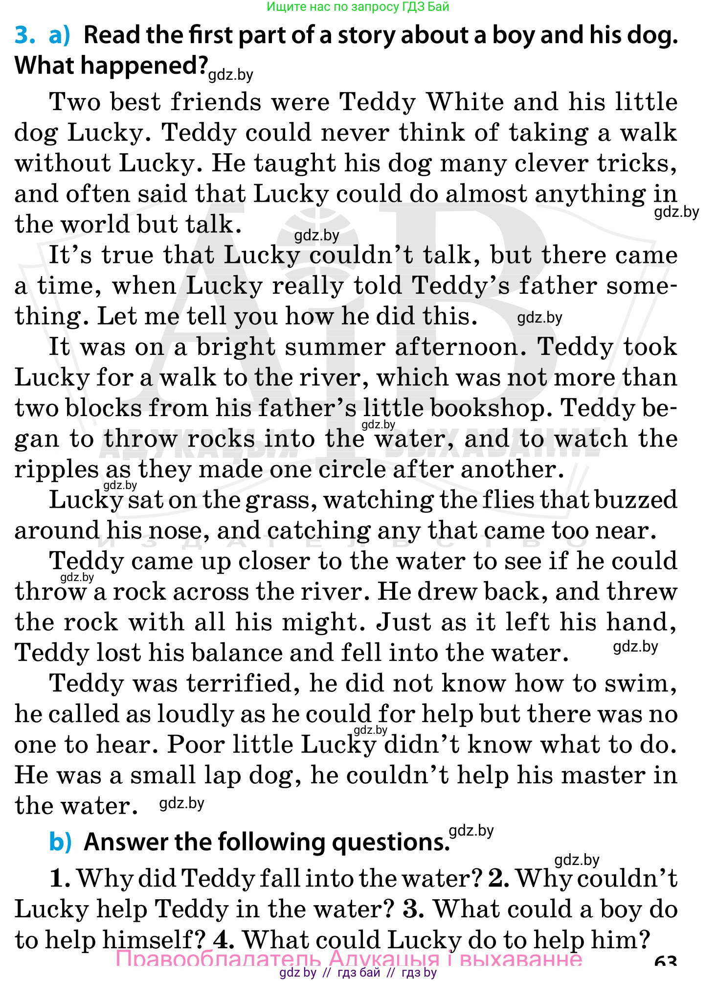 Английский язык (english), 5 класс Учебник, авторы: Демченко Наталья Валентиновна, Севрюкова Татьяна Юрьевна, Наумова Елена Георгиевна, Юхнель Наталья Валентиновна, Лапицкая Людмила Михайловна (Lapitskaya Ludmila), издательство Адукацыя i выхаванне, Минск, 2017, Часть ( Part) 1, страница 63, номер 3, Условие