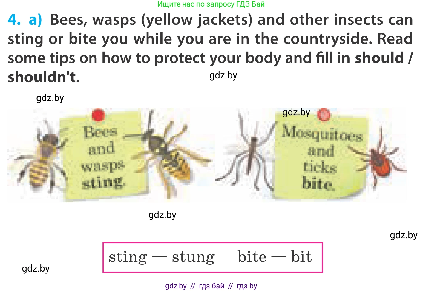 Английский язык (english), 5 класс Учебник, авторы: Демченко Наталья Валентиновна, Севрюкова Татьяна Юрьевна, Наумова Елена Георгиевна, Юхнель Наталья Валентиновна, Лапицкая Людмила Михайловна (Lapitskaya Ludmila), издательство Адукацыя i выхаванне, Минск, 2017, Часть ( Part) 2, страница 48, номер 4, Условие