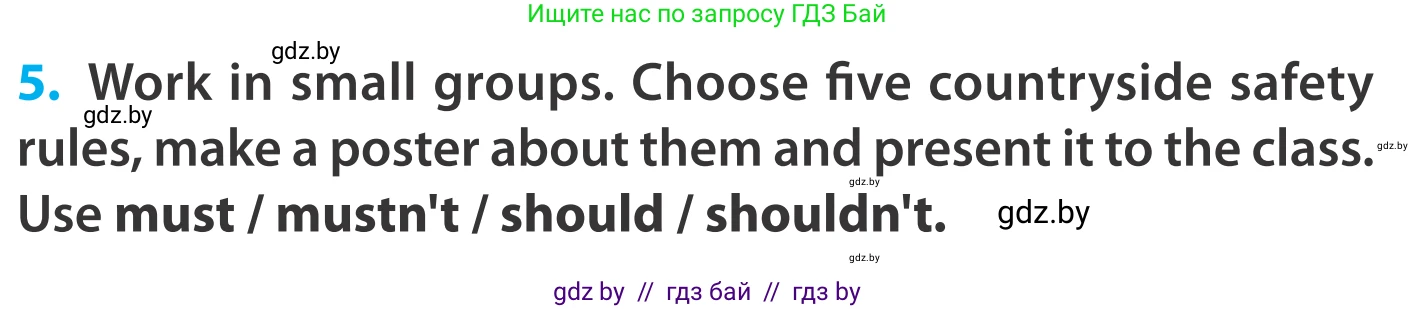 Английский язык (english), 5 класс Учебник, авторы: Демченко Наталья Валентиновна, Севрюкова Татьяна Юрьевна, Наумова Елена Георгиевна, Юхнель Наталья Валентиновна, Лапицкая Людмила Михайловна (Lapitskaya Ludmila), издательство Адукацыя i выхаванне, Минск, 2017, Часть ( Part) 2, страница 49, номер 5, Условие