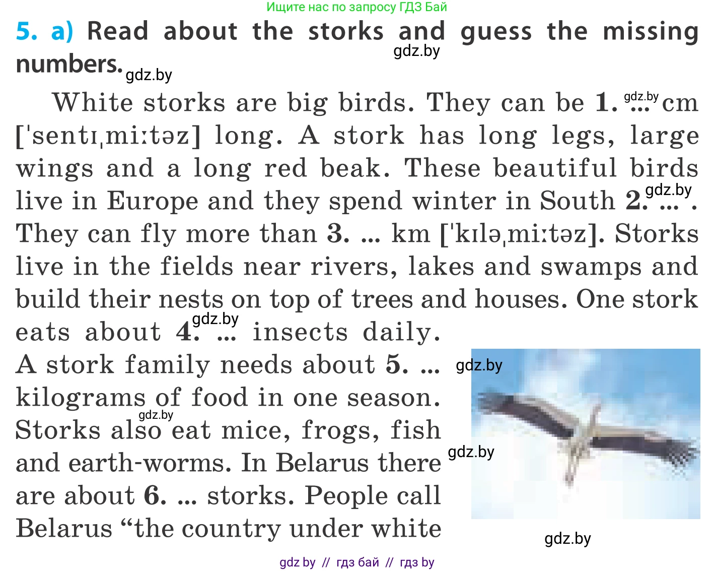 Английский язык (english), 5 класс Учебник, авторы: Демченко Наталья Валентиновна, Севрюкова Татьяна Юрьевна, Наумова Елена Георгиевна, Юхнель Наталья Валентиновна, Лапицкая Людмила Михайловна (Lapitskaya Ludmila), издательство Адукацыя i выхаванне, Минск, 2017, Часть ( Part) 2, страница 60, номер 5, Условие