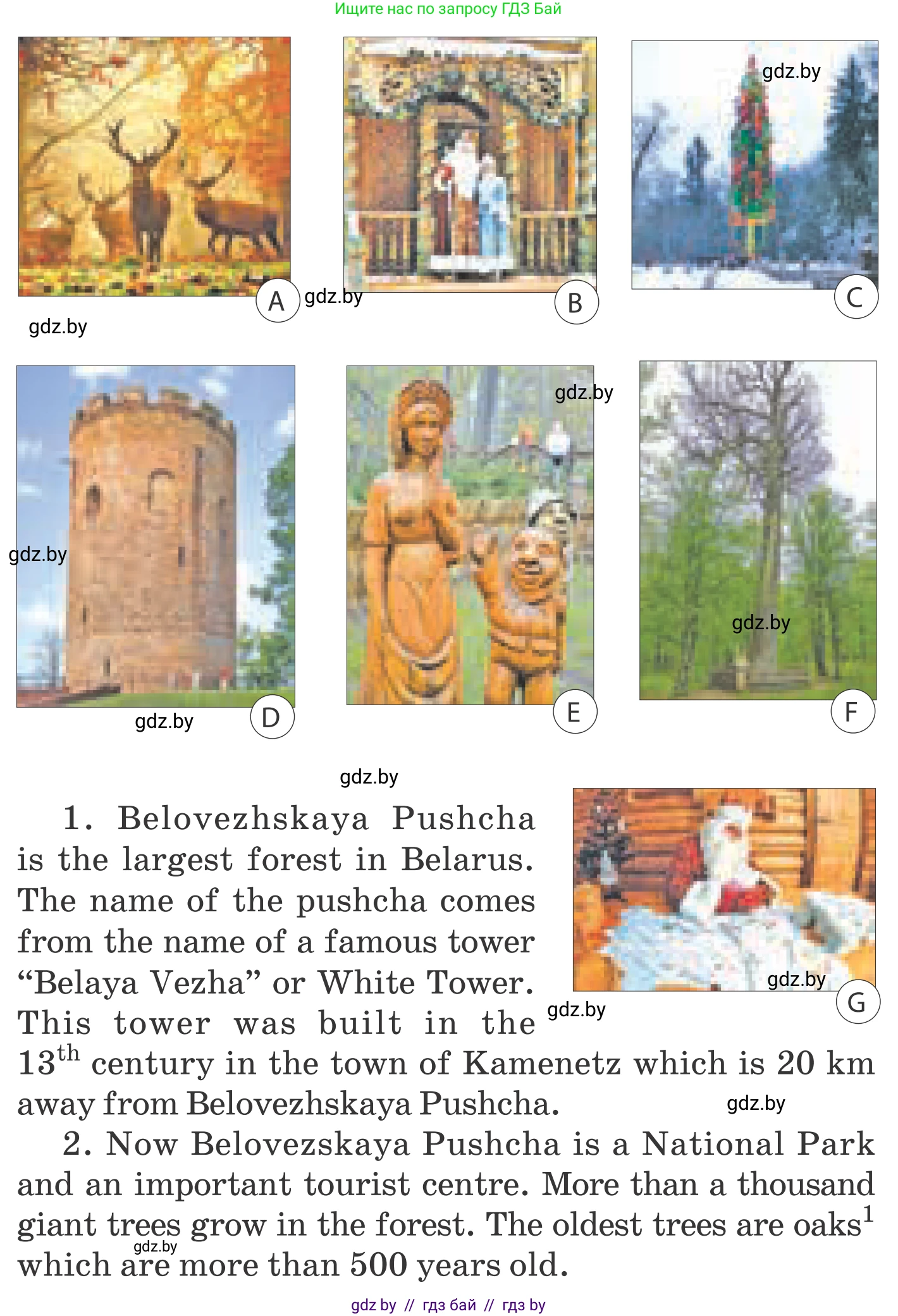 Английский язык (english), 5 класс Учебник, авторы: Демченко Наталья Валентиновна, Севрюкова Татьяна Юрьевна, Наумова Елена Георгиевна, Юхнель Наталья Валентиновна, Лапицкая Людмила Михайловна (Lapitskaya Ludmila), издательство Адукацыя i выхаванне, Минск, 2017, Часть ( Part) 2, страница 61, номер 1, Условие (продолжение 2)