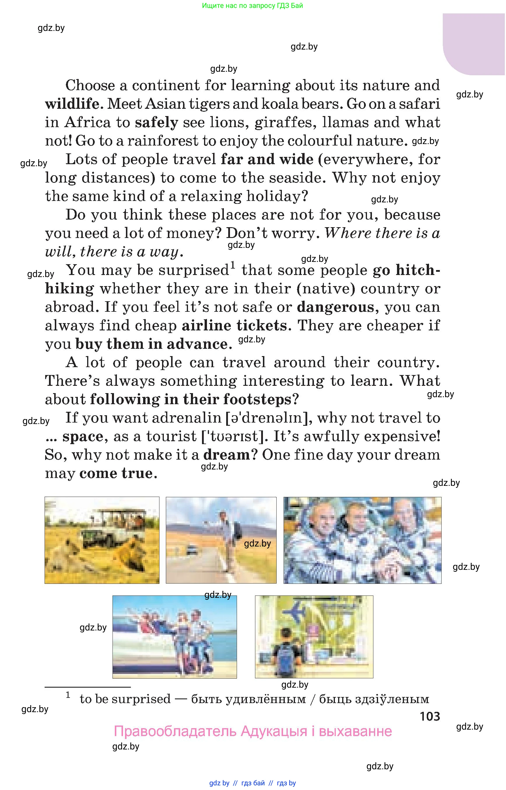 Английский язык (english), 5 класс Учебник, авторы: Демченко Наталья Валентиновна, Севрюкова Татьяна Юрьевна, Наумова Елена Георгиевна, Юхнель Наталья Валентиновна, Лапицкая Людмила Михайловна (Lapitskaya Ludmila), издательство Адукацыя i выхаванне, Минск, 2017, страница 103
