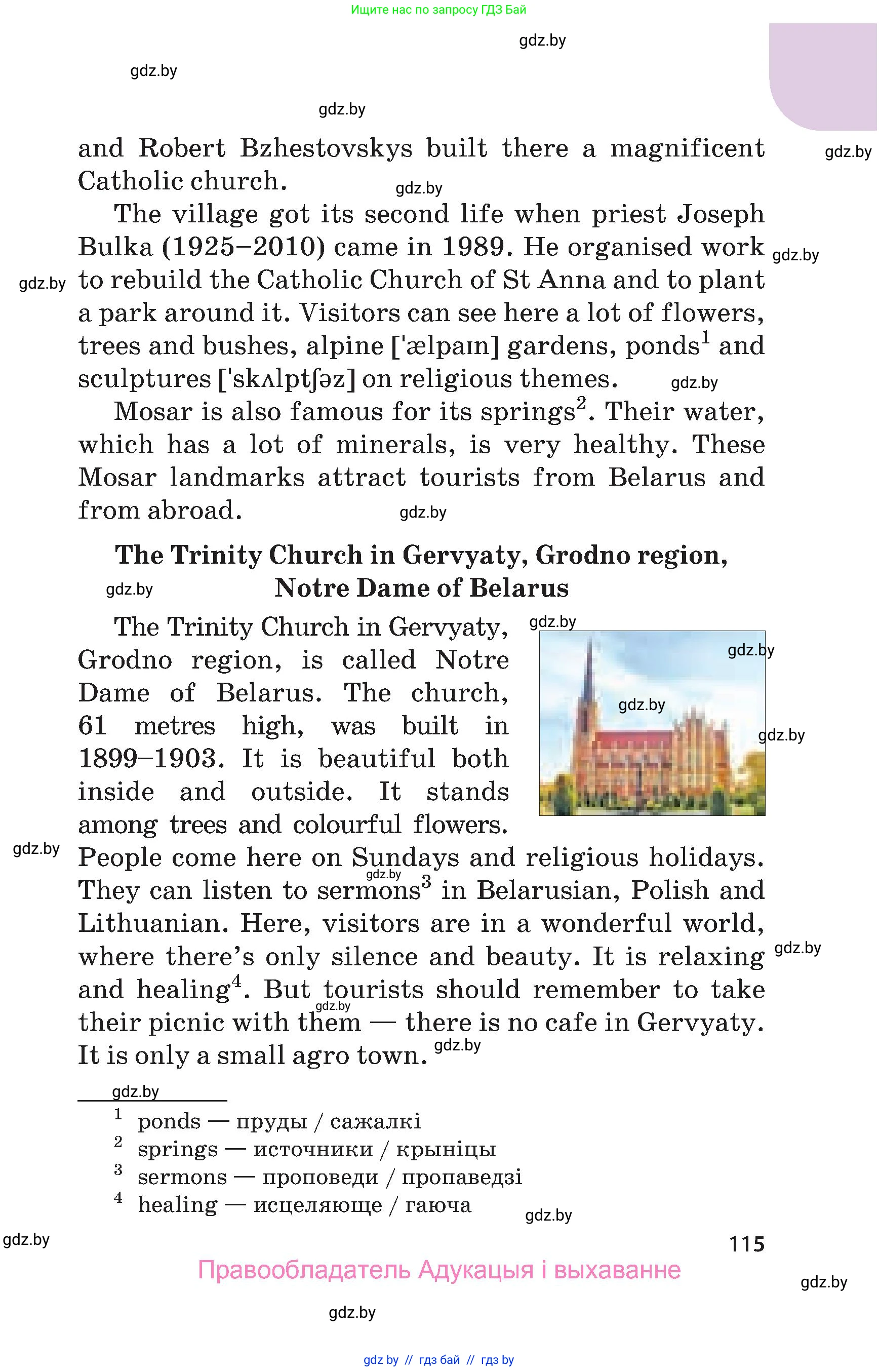 Английский язык (english), 5 класс Учебник, авторы: Демченко Наталья Валентиновна, Севрюкова Татьяна Юрьевна, Наумова Елена Георгиевна, Юхнель Наталья Валентиновна, Лапицкая Людмила Михайловна (Lapitskaya Ludmila), издательство Адукацыя i выхаванне, Минск, 2017, страница 115