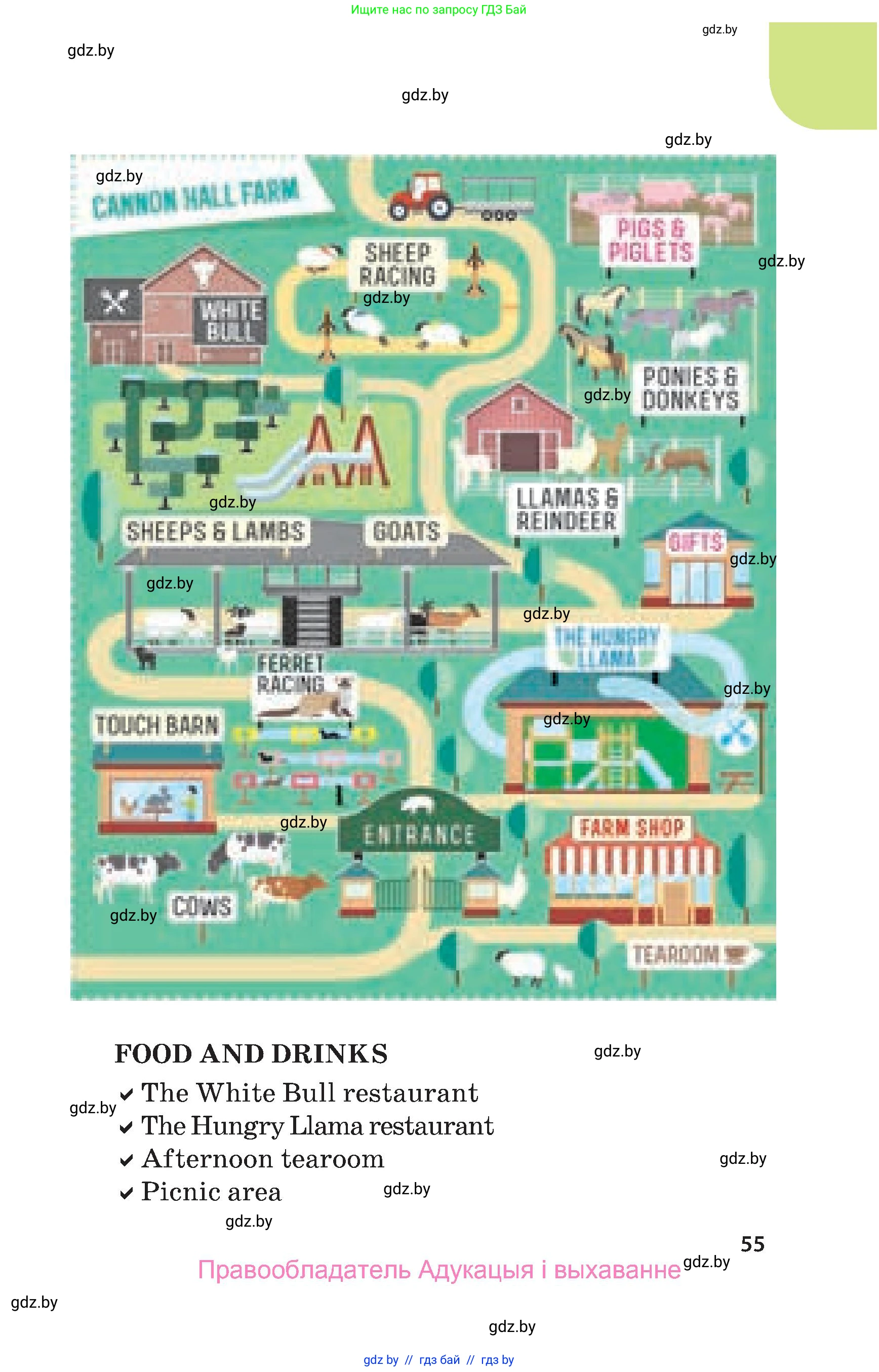 Английский язык (english), 5 класс Учебник, авторы: Демченко Наталья Валентиновна, Севрюкова Татьяна Юрьевна, Наумова Елена Георгиевна, Юхнель Наталья Валентиновна, Лапицкая Людмила Михайловна (Lapitskaya Ludmila), издательство Адукацыя i выхаванне, Минск, 2017, страница 55