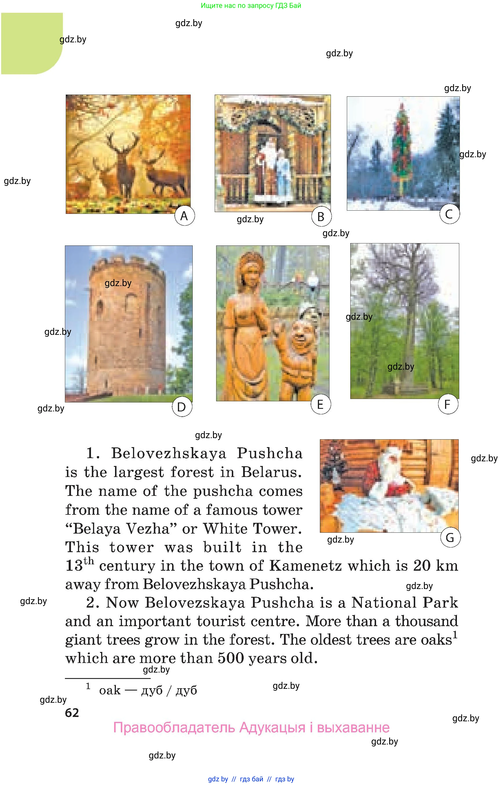 Английский язык (english), 5 класс Учебник, авторы: Демченко Наталья Валентиновна, Севрюкова Татьяна Юрьевна, Наумова Елена Георгиевна, Юхнель Наталья Валентиновна, Лапицкая Людмила Михайловна (Lapitskaya Ludmila), издательство Адукацыя i выхаванне, Минск, 2017, страница 62