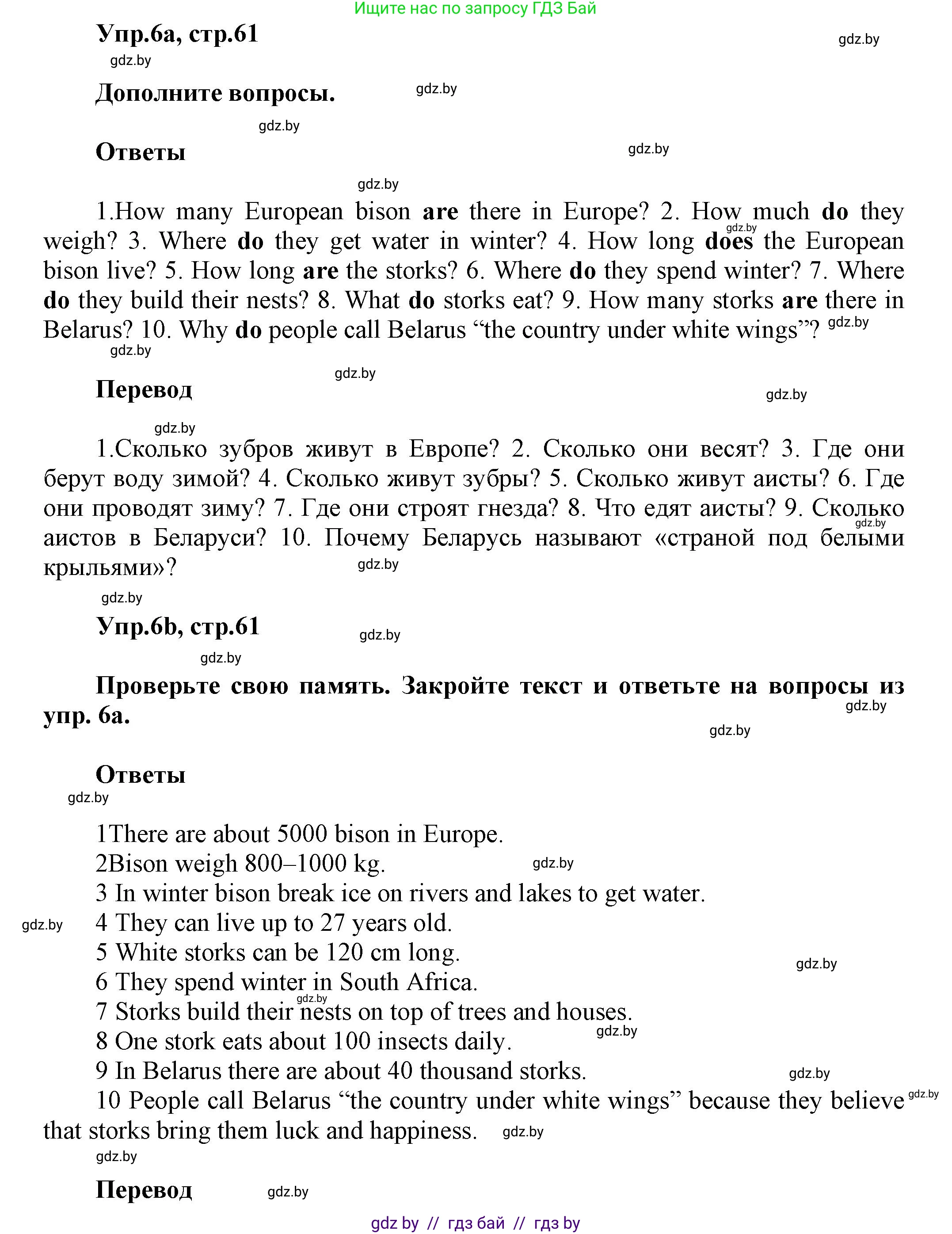Английский язык (english), 5 класс Учебник, авторы: Демченко Наталья Валентиновна, Севрюкова Татьяна Юрьевна, Наумова Елена Георгиевна, Юхнель Наталья Валентиновна, Лапицкая Людмила Михайловна (Lapitskaya Ludmila), издательство Адукацыя i выхаванне, Минск, 2017, Часть ( Part) 2, страница 61, номер 6, Решение 1