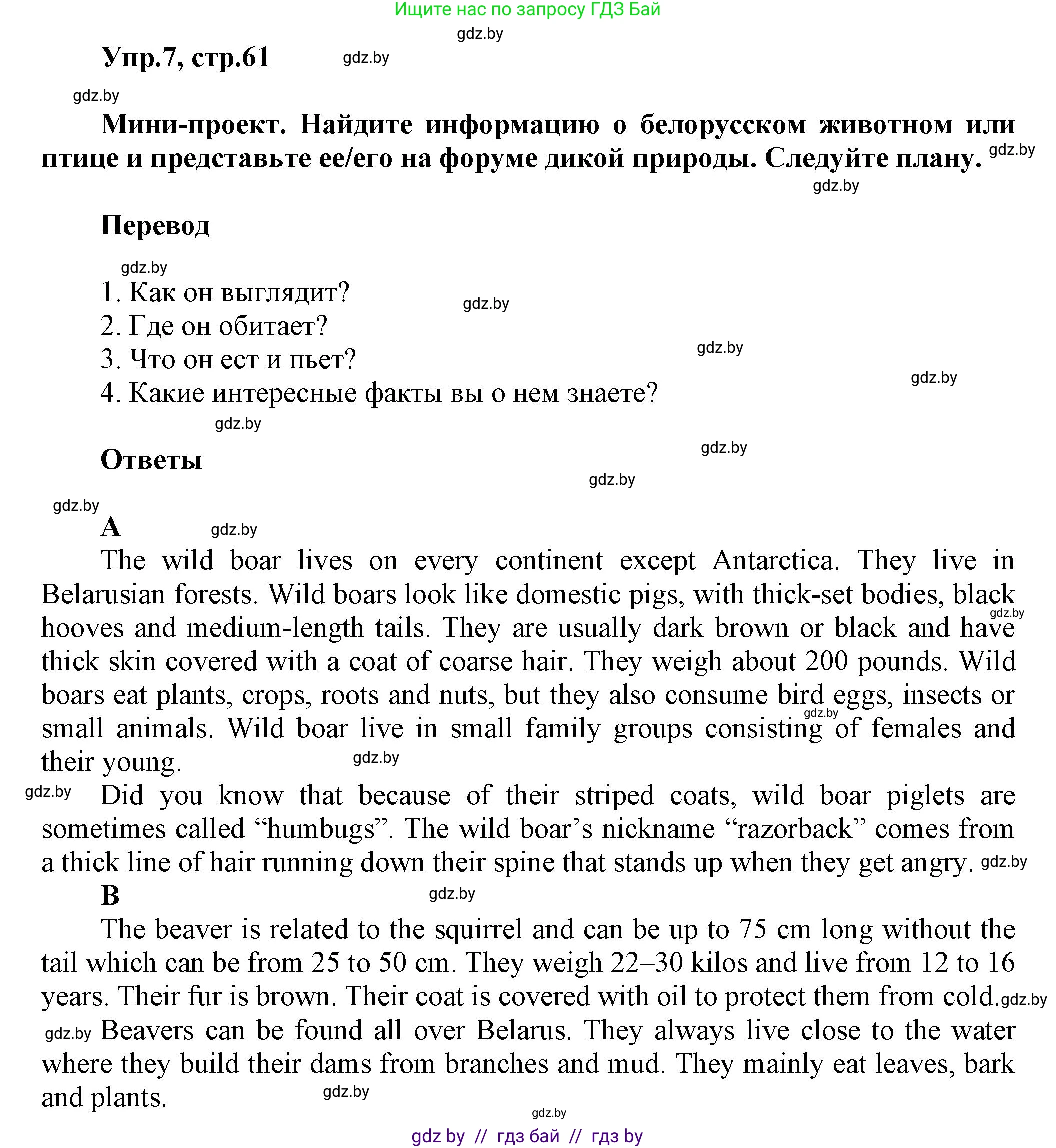 Английский язык (english), 5 класс Учебник, авторы: Демченко Наталья Валентиновна, Севрюкова Татьяна Юрьевна, Наумова Елена Георгиевна, Юхнель Наталья Валентиновна, Лапицкая Людмила Михайловна (Lapitskaya Ludmila), издательство Адукацыя i выхаванне, Минск, 2017, Часть ( Part) 2, страница 61, номер 7, Решение 1