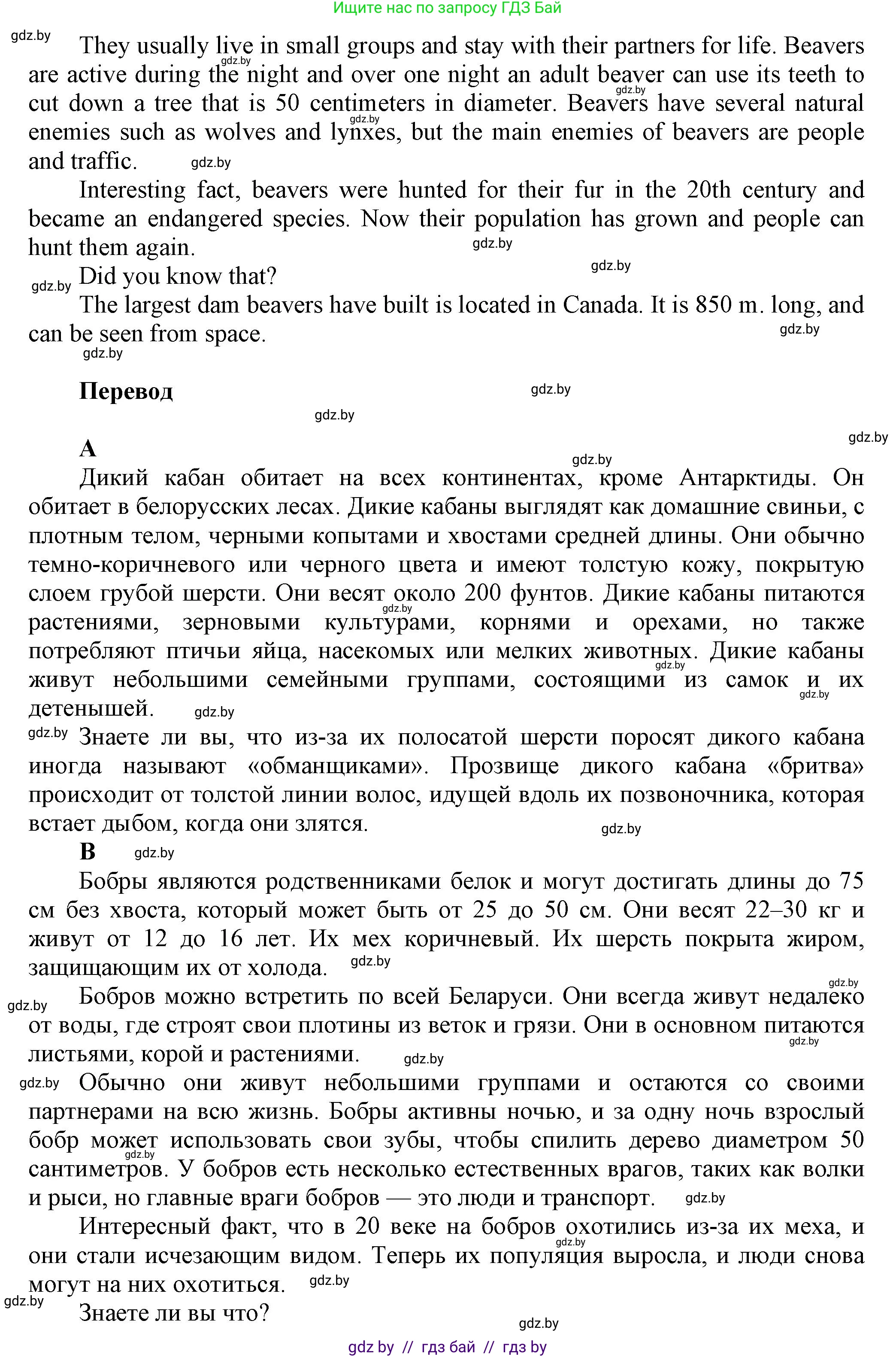 Английский язык (english), 5 класс Учебник, авторы: Демченко Наталья Валентиновна, Севрюкова Татьяна Юрьевна, Наумова Елена Георгиевна, Юхнель Наталья Валентиновна, Лапицкая Людмила Михайловна (Lapitskaya Ludmila), издательство Адукацыя i выхаванне, Минск, 2017, Часть ( Part) 2, страница 61, номер 7, Решение 1 (продолжение 2)