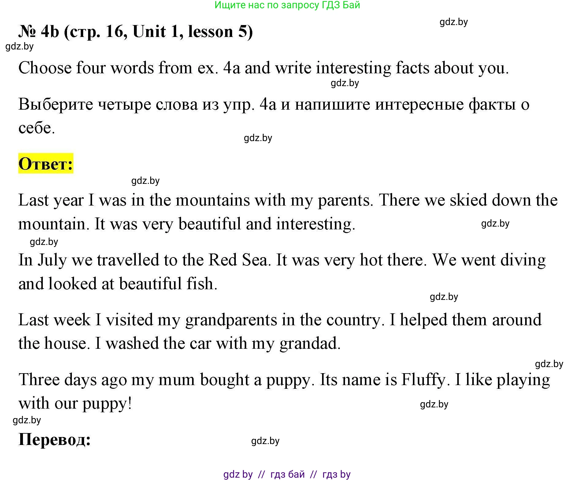 Английский язык (english), 5 класс Рабочая тетрадь (workbook), авторы: Лапицкая Людмила Михайловна (Lapitskaya Ludmila), Калишевич Алла Ивановна, Севрюкова Татьяна Юрьевна, Седунова Наталья Михайловна (Sedunova Natalia), издательство Аверсэв, Минск, 2020, оранжевого цвета, Часть 1, страница 16, номер 4b, Решение