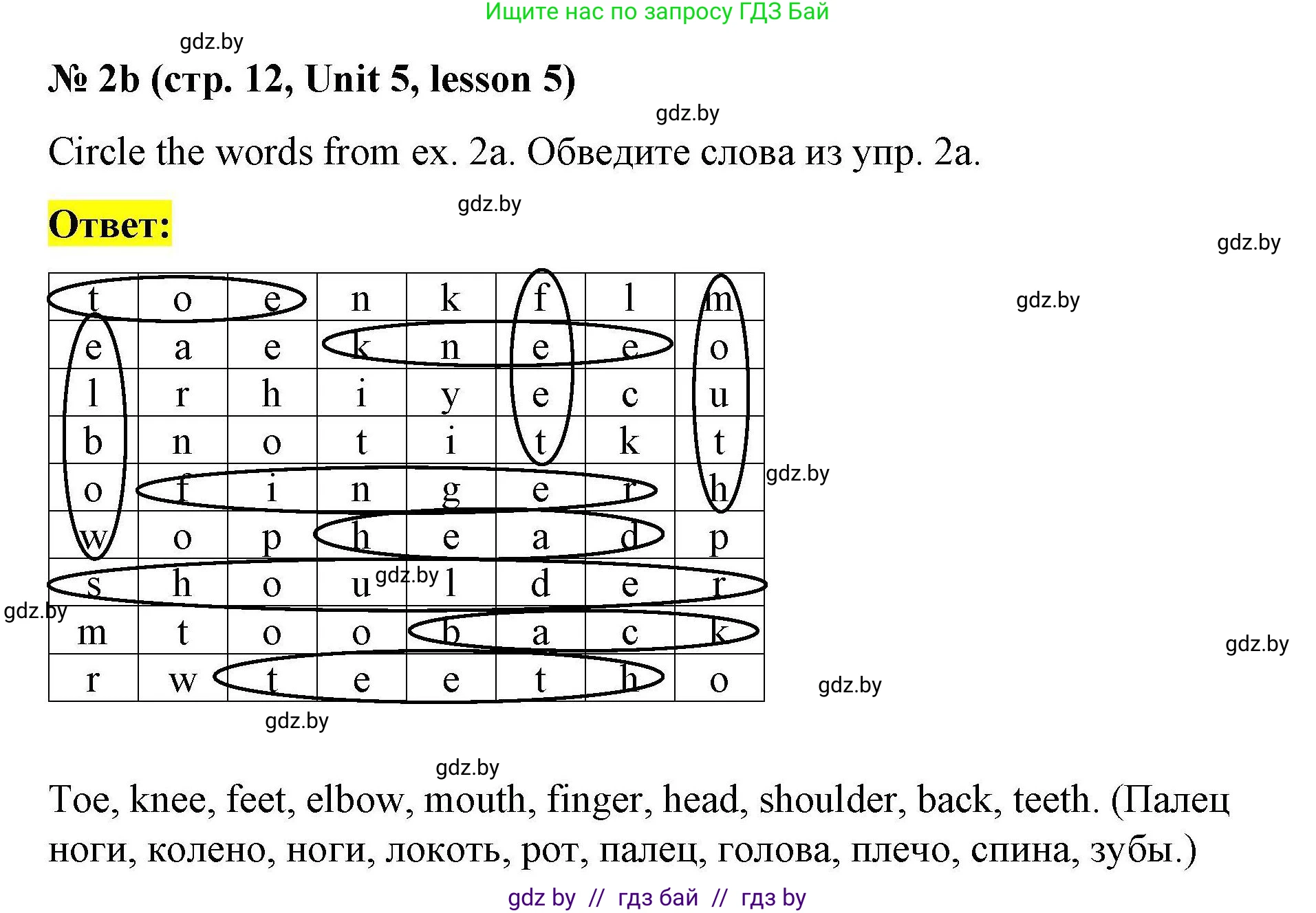 Английский язык (english), 5 класс Рабочая тетрадь (workbook), авторы: Лапицкая Людмила Михайловна (Lapitskaya Ludmila), Калишевич Алла Ивановна, Севрюкова Татьяна Юрьевна, Седунова Наталья Михайловна (Sedunova Natalia), издательство Аверсэв, Минск, 2020, оранжевого цвета, Часть 2, страница 12, номер 2b, Решение