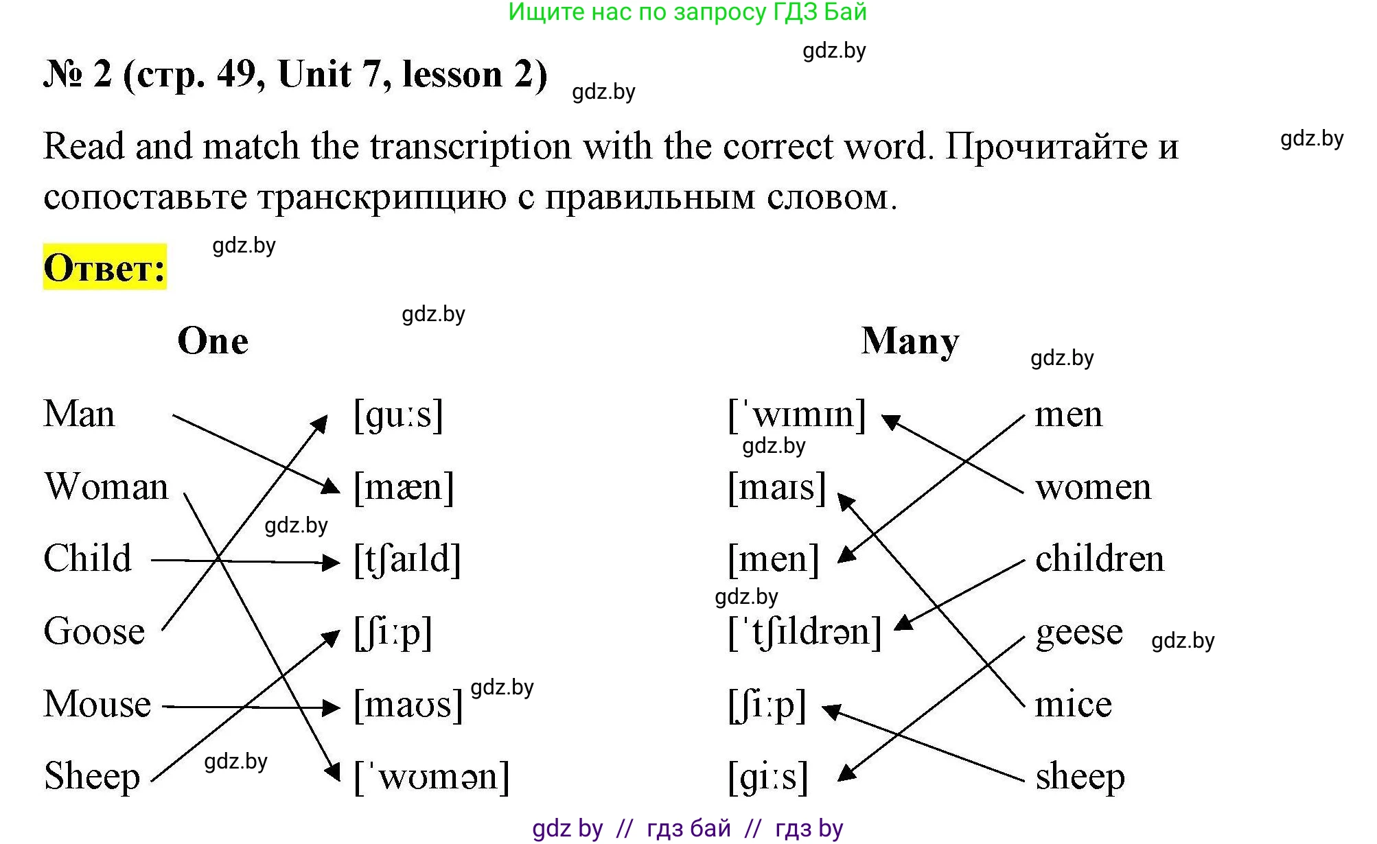 Английский язык (english), 5 класс Рабочая тетрадь (workbook), авторы: Лапицкая Людмила Михайловна (Lapitskaya Ludmila), Калишевич Алла Ивановна, Севрюкова Татьяна Юрьевна, Седунова Наталья Михайловна (Sedunova Natalia), издательство Аверсэв, Минск, 2020, оранжевого цвета, Часть 2, страница 49, номер 2, Решение