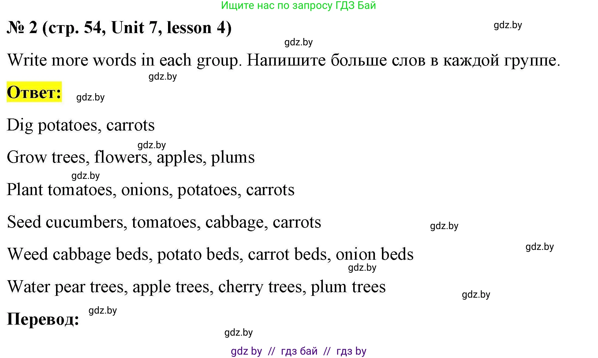 Английский язык (english), 5 класс Рабочая тетрадь (workbook), авторы: Лапицкая Людмила Михайловна (Lapitskaya Ludmila), Калишевич Алла Ивановна, Севрюкова Татьяна Юрьевна, Седунова Наталья Михайловна (Sedunova Natalia), издательство Аверсэв, Минск, 2020, оранжевого цвета, Часть 2, страница 54, номер 2, Решение