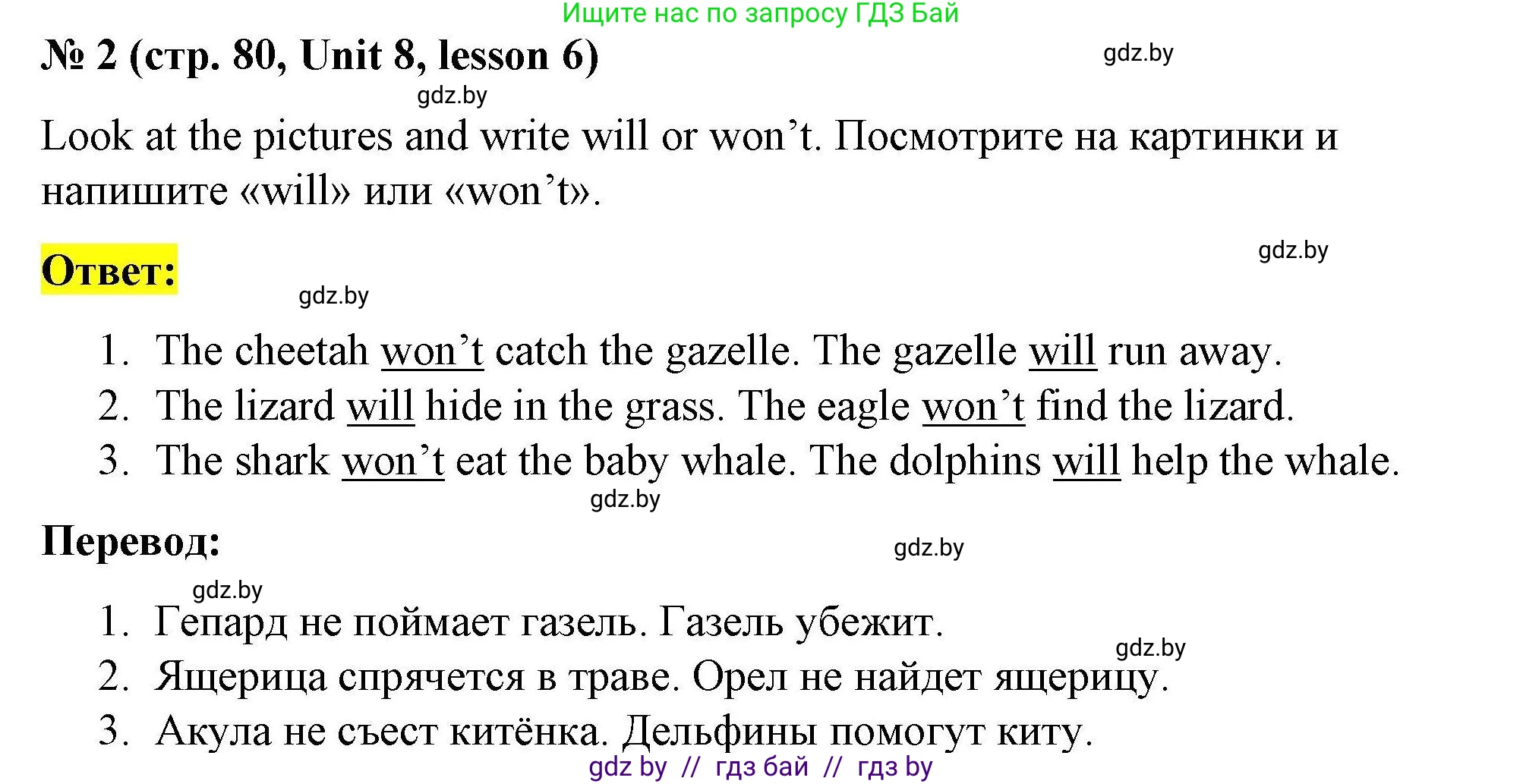 Английский язык (english), 5 класс Рабочая тетрадь (workbook), авторы: Лапицкая Людмила Михайловна (Lapitskaya Ludmila), Калишевич Алла Ивановна, Севрюкова Татьяна Юрьевна, Седунова Наталья Михайловна (Sedunova Natalia), издательство Аверсэв, Минск, 2020, оранжевого цвета, Часть 2, страница 80, номер 2, Решение
