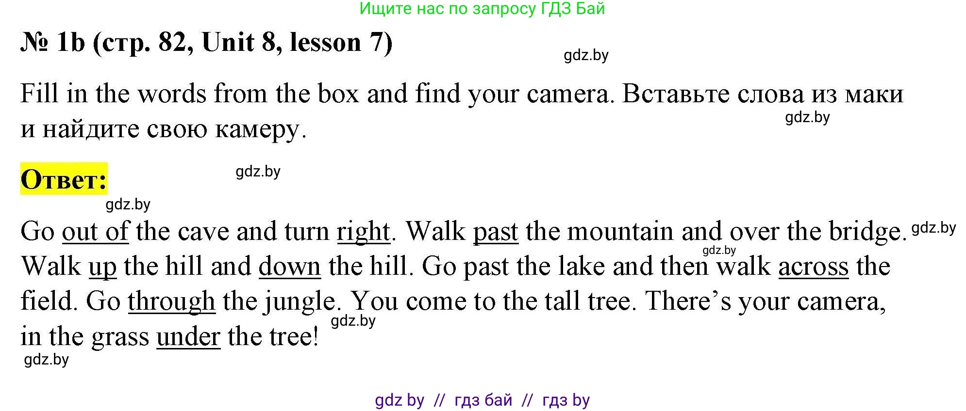 Английский язык (english), 5 класс Рабочая тетрадь (workbook), авторы: Лапицкая Людмила Михайловна (Lapitskaya Ludmila), Калишевич Алла Ивановна, Севрюкова Татьяна Юрьевна, Седунова Наталья Михайловна (Sedunova Natalia), издательство Аверсэв, Минск, 2020, оранжевого цвета, Часть 2, страница 82, номер 1b, Решение