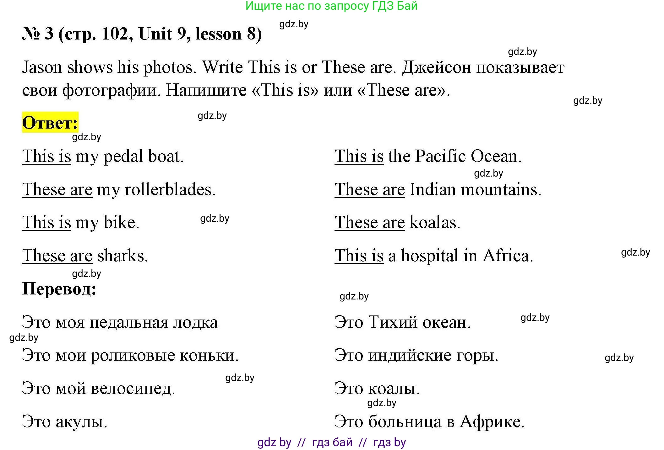 Английский язык (english), 5 класс Рабочая тетрадь (workbook), авторы: Лапицкая Людмила Михайловна (Lapitskaya Ludmila), Калишевич Алла Ивановна, Севрюкова Татьяна Юрьевна, Седунова Наталья Михайловна (Sedunova Natalia), издательство Аверсэв, Минск, 2020, оранжевого цвета, Часть 2, страница 102, номер 3, Решение