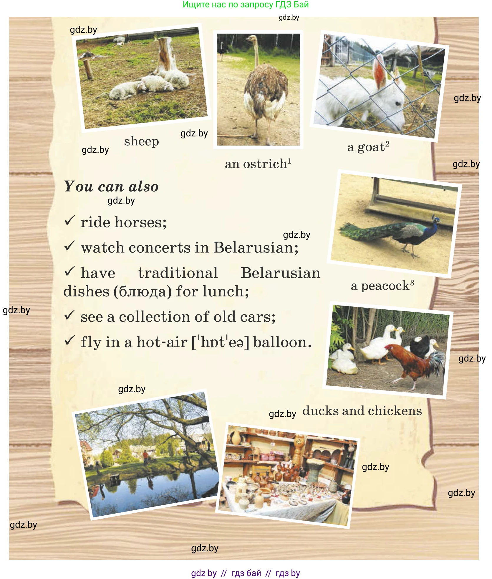 Английский язык (english), 5 класс Учебник (Student's book), авторы: Лапицкая Людмила Михайловна (Lapitskaya Ludmila), Калишевич Алла Ивановна, Севрюкова Татьяна Юрьевна, Седунова Наталья Михайловна (Sedunova Natalia), издательство Вышэйшая школа, Минск, 2020, Часть 1, страница 56, номер 1, Условие (продолжение 3)