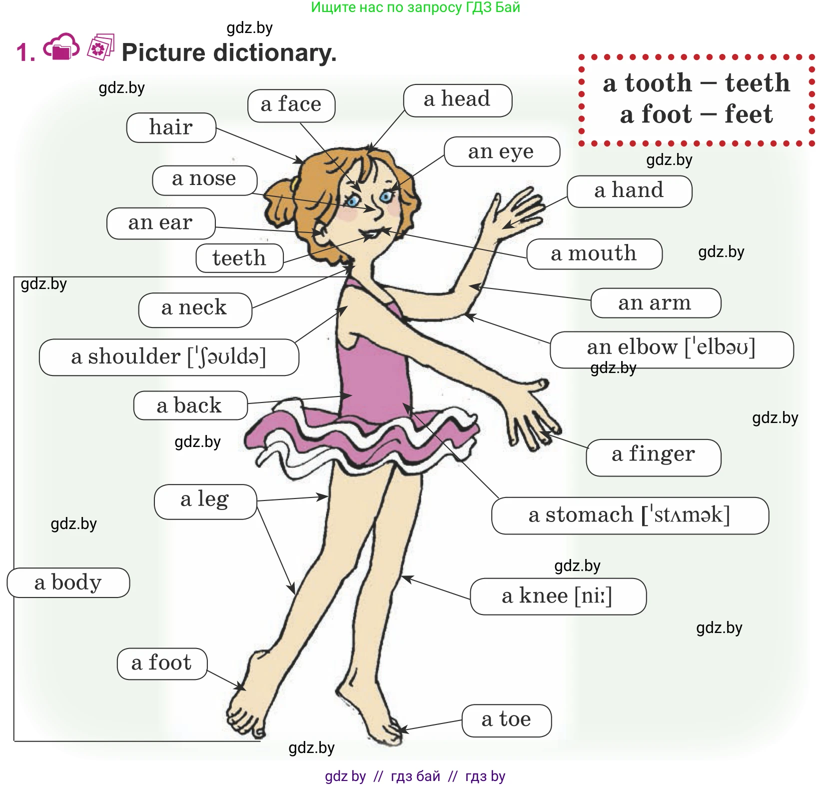 Английский язык (english), 5 класс Учебник (Student's book), авторы: Лапицкая Людмила Михайловна (Lapitskaya Ludmila), Калишевич Алла Ивановна, Севрюкова Татьяна Юрьевна, Седунова Наталья Михайловна (Sedunova Natalia), издательство Вышэйшая школа, Минск, 2020, Часть 2, страница 16, номер 1, Условие