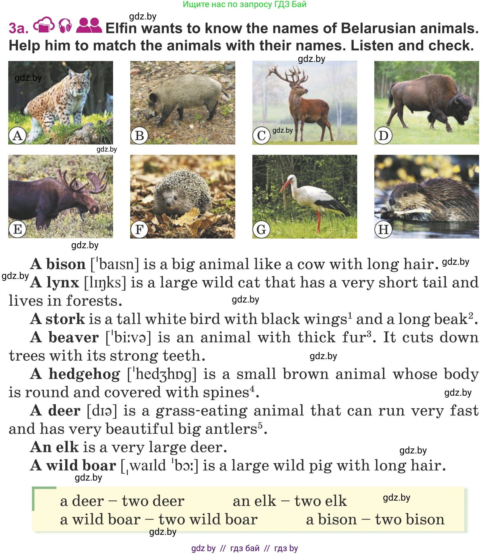 Английский язык (english), 5 класс Учебник (Student's book), авторы: Лапицкая Людмила Михайловна (Lapitskaya Ludmila), Калишевич Алла Ивановна, Севрюкова Татьяна Юрьевна, Седунова Наталья Михайловна (Sedunova Natalia), издательство Вышэйшая школа, Минск, 2020, Часть 2, страница 88, номер 3, Условие