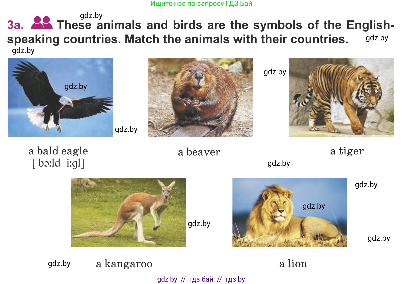 Английский язык (english), 5 класс Учебник (Student's book), авторы: Лапицкая Людмила Михайловна (Lapitskaya Ludmila), Калишевич Алла Ивановна, Севрюкова Татьяна Юрьевна, Седунова Наталья Михайловна (Sedunova Natalia), издательство Вышэйшая школа, Минск, 2020, Часть 2, страница 107, номер 3, Условие