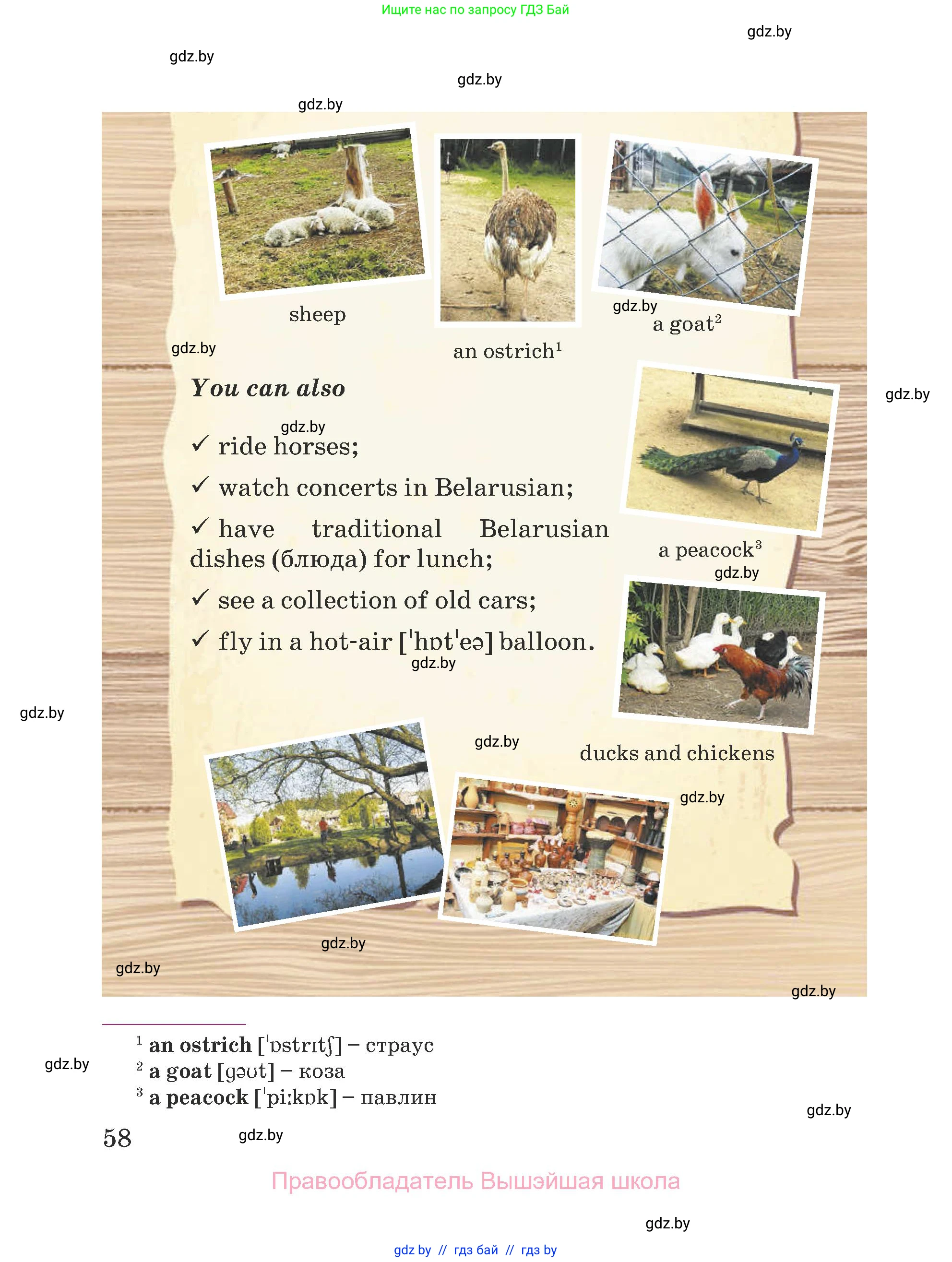 Английский язык (english), 5 класс Учебник (Student's book), авторы: Лапицкая Людмила Михайловна (Lapitskaya Ludmila), Калишевич Алла Ивановна, Севрюкова Татьяна Юрьевна, Седунова Наталья Михайловна (Sedunova Natalia), издательство Вышэйшая школа, Минск, 2020, страница 58