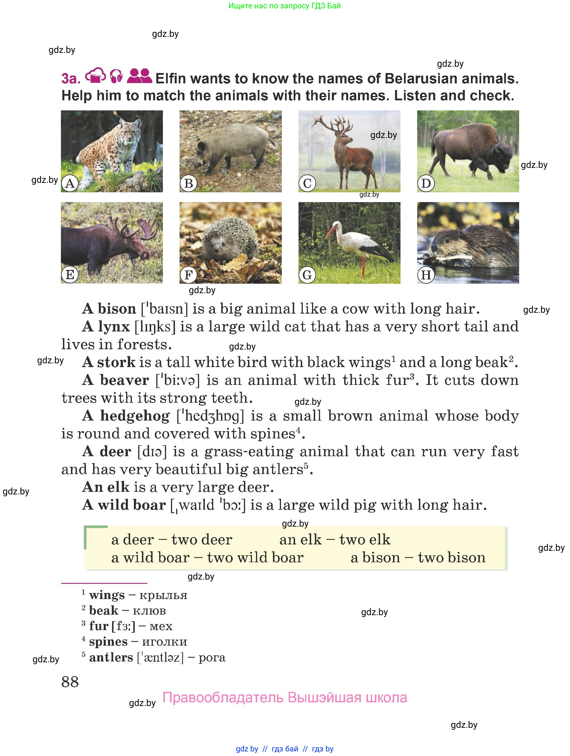 Английский язык (english), 5 класс Учебник (Student's book), авторы: Лапицкая Людмила Михайловна (Lapitskaya Ludmila), Калишевич Алла Ивановна, Севрюкова Татьяна Юрьевна, Седунова Наталья Михайловна (Sedunova Natalia), издательство Вышэйшая школа, Минск, 2020, Часть 2, страница 88