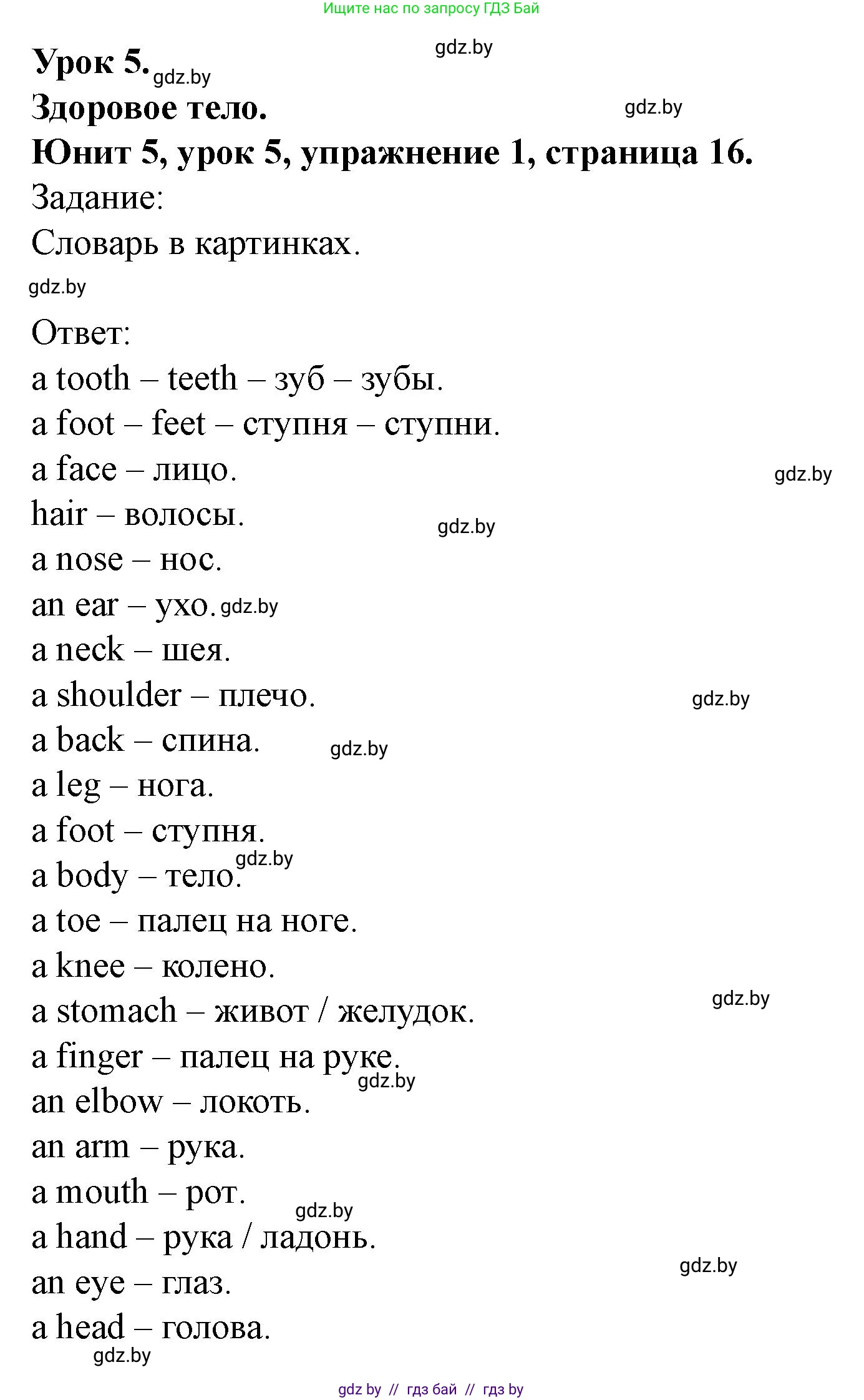 Английский язык (english), 5 класс Учебник (Student's book), авторы: Лапицкая Людмила Михайловна (Lapitskaya Ludmila), Калишевич Алла Ивановна, Севрюкова Татьяна Юрьевна, Седунова Наталья Михайловна (Sedunova Natalia), издательство Вышэйшая школа, Минск, 2020, Часть 2, страница 16, номер 1, Решение 1