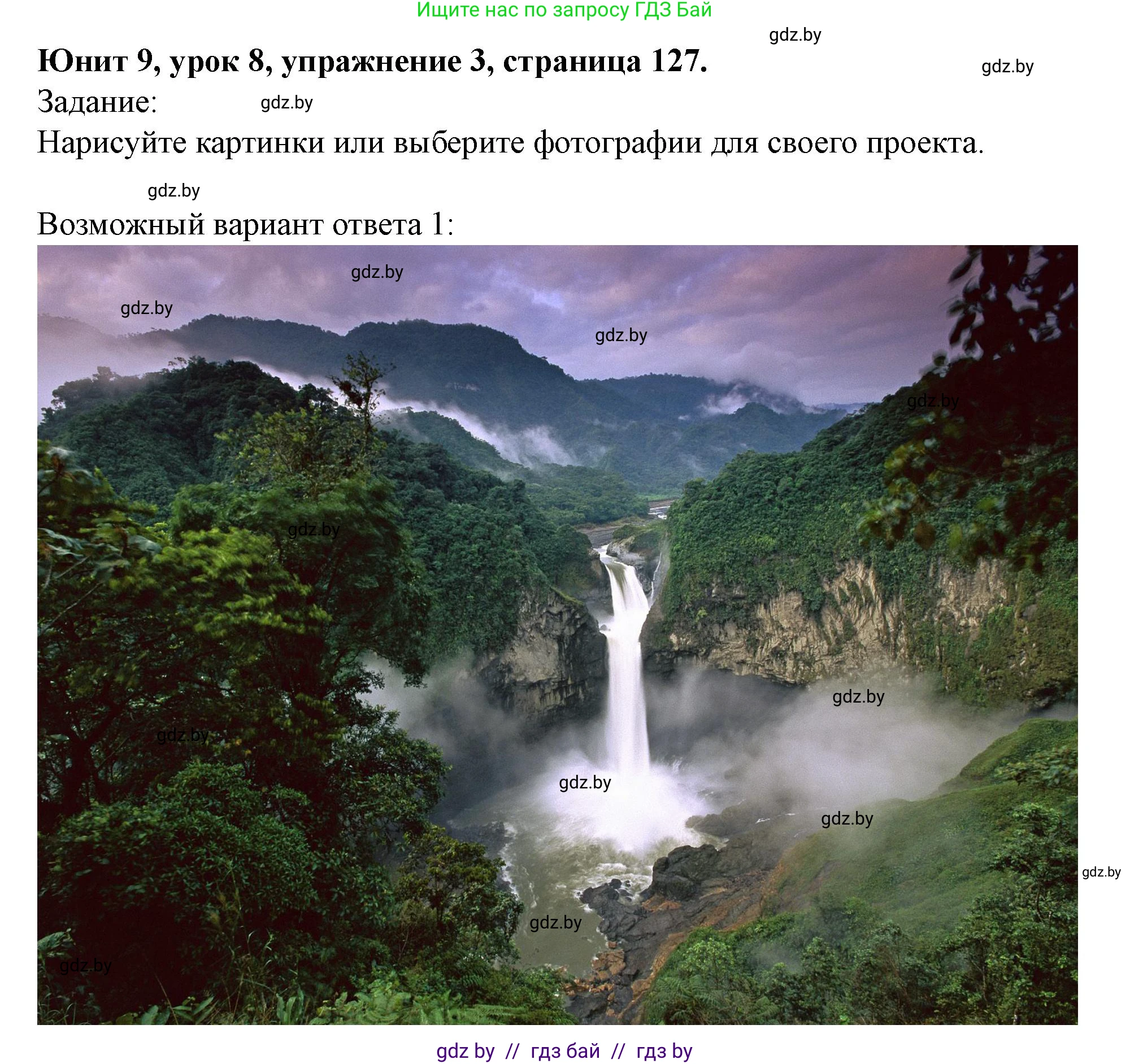 Английский язык (english), 5 класс Учебник (Student's book), авторы: Лапицкая Людмила Михайловна (Lapitskaya Ludmila), Калишевич Алла Ивановна, Севрюкова Татьяна Юрьевна, Седунова Наталья Михайловна (Sedunova Natalia), издательство Вышэйшая школа, Минск, 2020, Часть 2, страница 127, номер 3, Решение 1