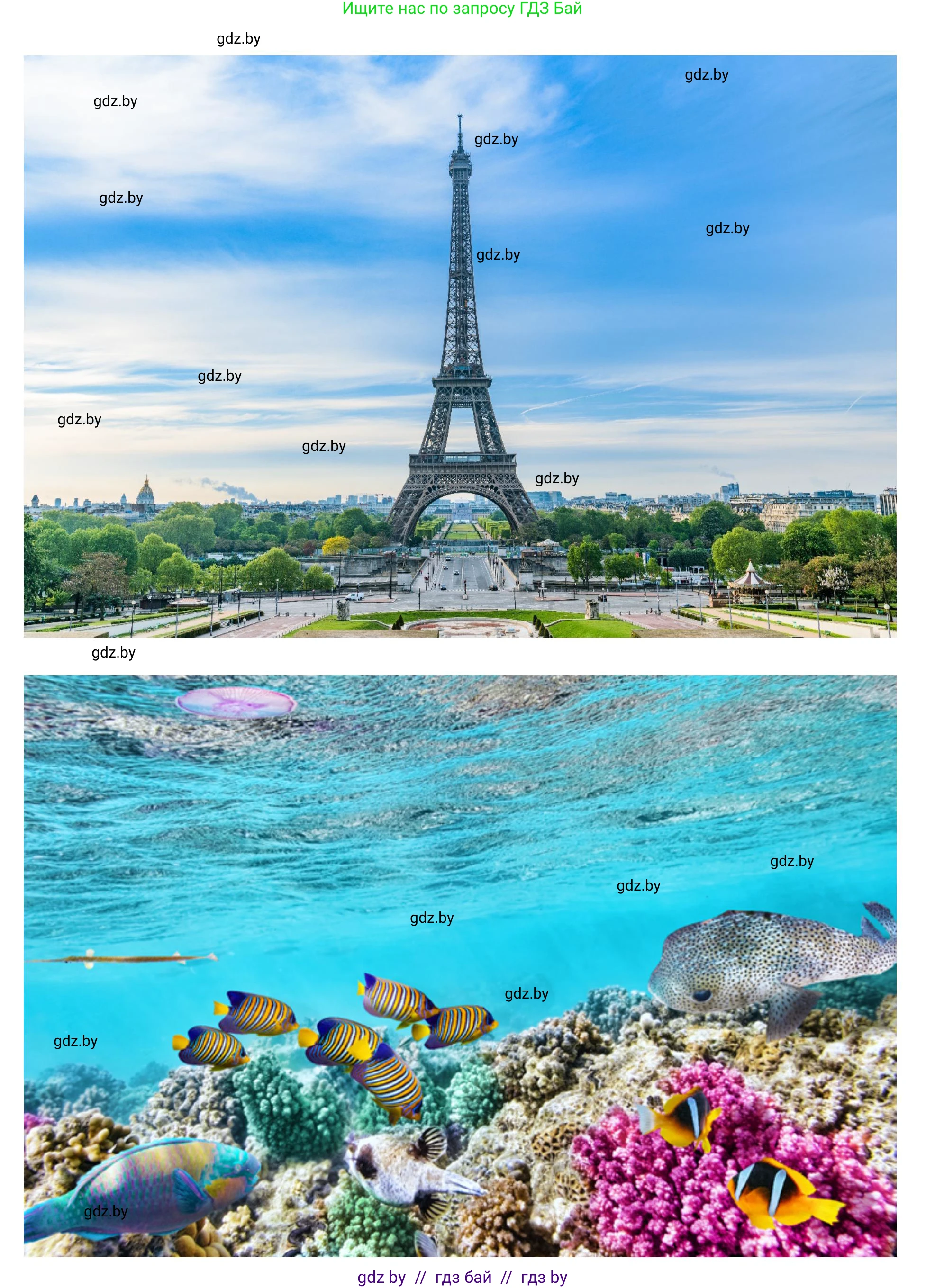 Английский язык (english), 5 класс Учебник (Student's book), авторы: Лапицкая Людмила Михайловна (Lapitskaya Ludmila), Калишевич Алла Ивановна, Севрюкова Татьяна Юрьевна, Седунова Наталья Михайловна (Sedunova Natalia), издательство Вышэйшая школа, Минск, 2020, Часть 2, страница 127, номер 3, Решение 1 (продолжение 5)