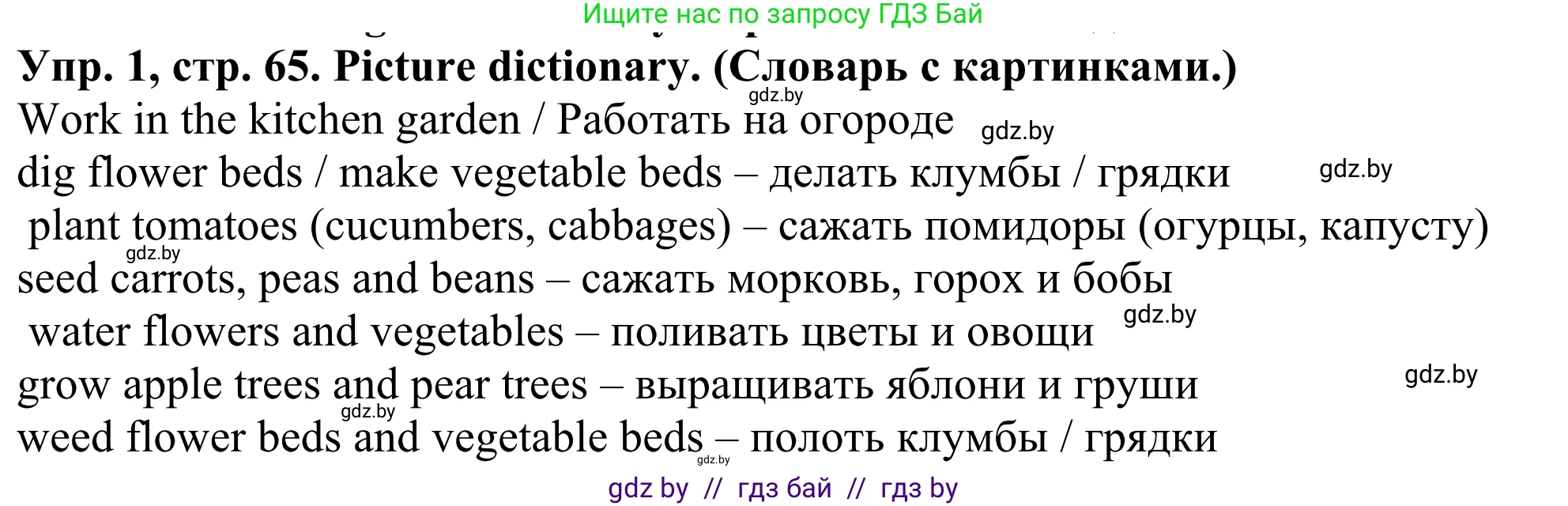 Английский язык (english), 5 класс Учебник (Student's book), авторы: Лапицкая Людмила Михайловна (Lapitskaya Ludmila), Калишевич Алла Ивановна, Севрюкова Татьяна Юрьевна, Седунова Наталья Михайловна (Sedunova Natalia), издательство Вышэйшая школа, Минск, 2020, Часть 2, страница 65, номер 1, Решение 2