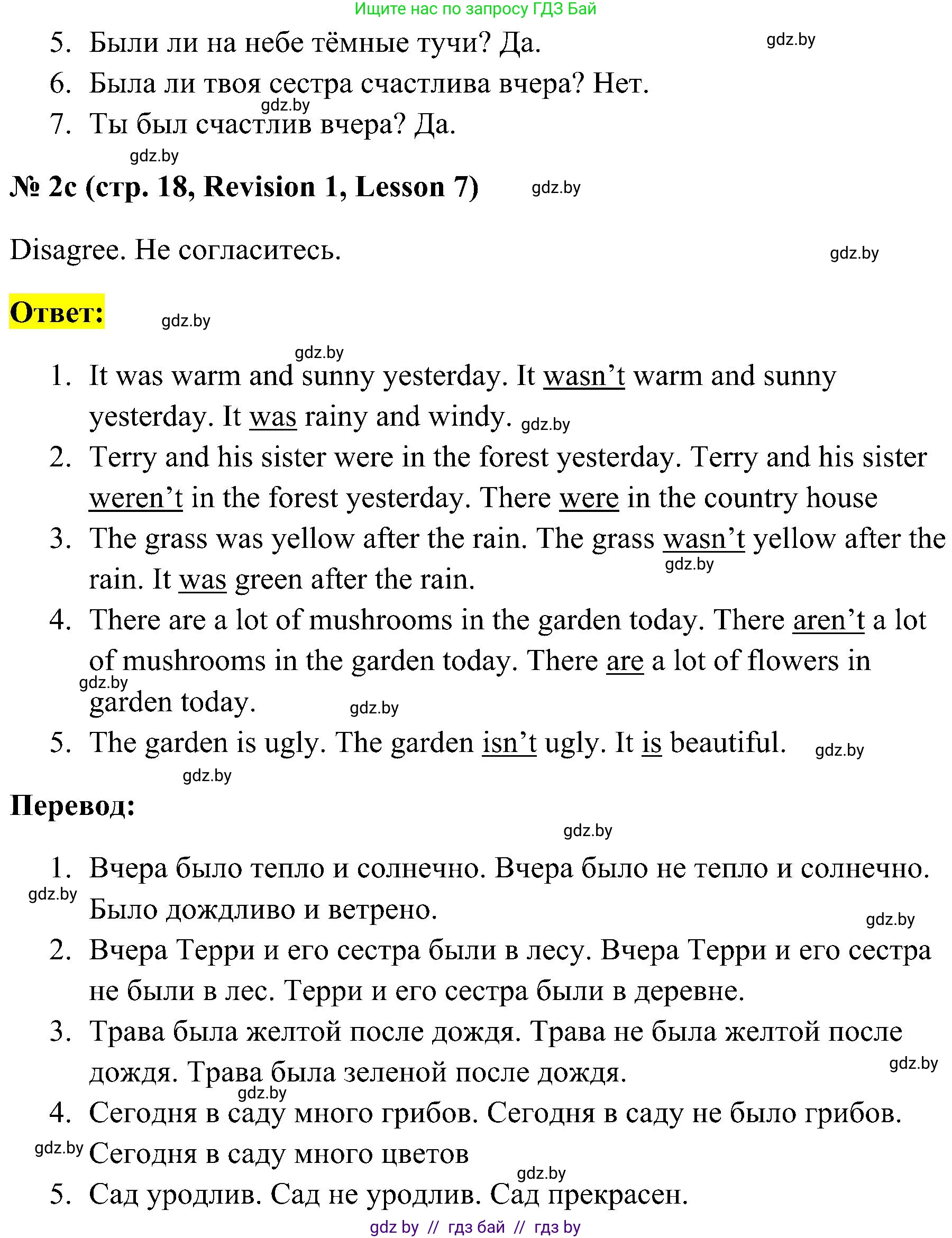 Английский язык (english), 5 класс практикум по грамматике (grammar), автор: Севрюкова Татьяна Юрьевна, издательство Аверсэв, Минск, 2023, оранжевого цвета, страница 18, номер 2, Решение (продолжение 2)