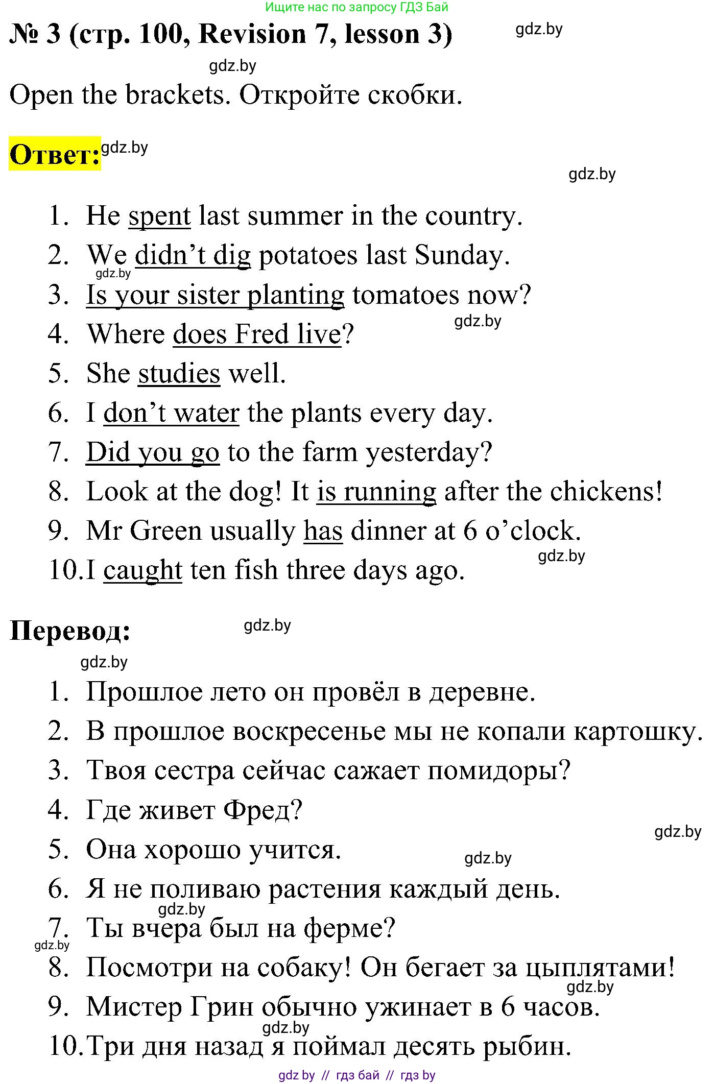 Английский язык (english), 5 класс практикум по грамматике (grammar), автор: Севрюкова Татьяна Юрьевна, издательство Аверсэв, Минск, 2023, оранжевого цвета, страница 100, номер 3, Решение