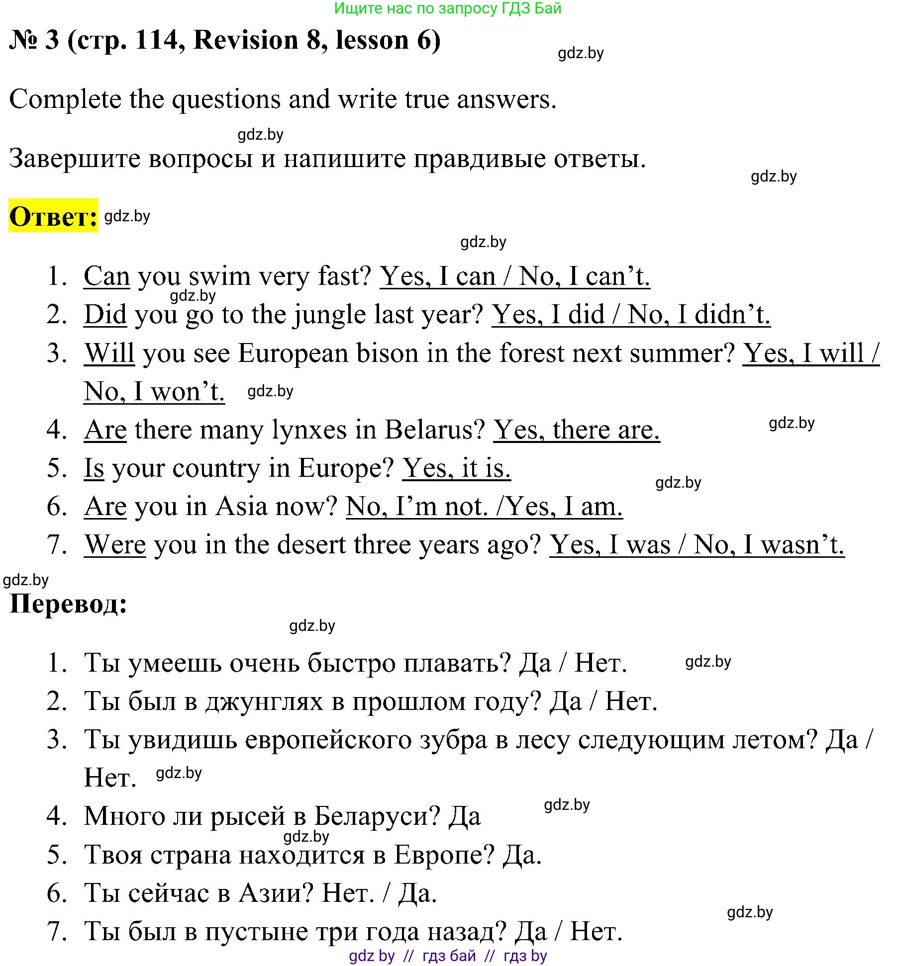 Английский язык (english), 5 класс практикум по грамматике (grammar), автор: Севрюкова Татьяна Юрьевна, издательство Аверсэв, Минск, 2023, оранжевого цвета, страница 114, номер 3, Решение