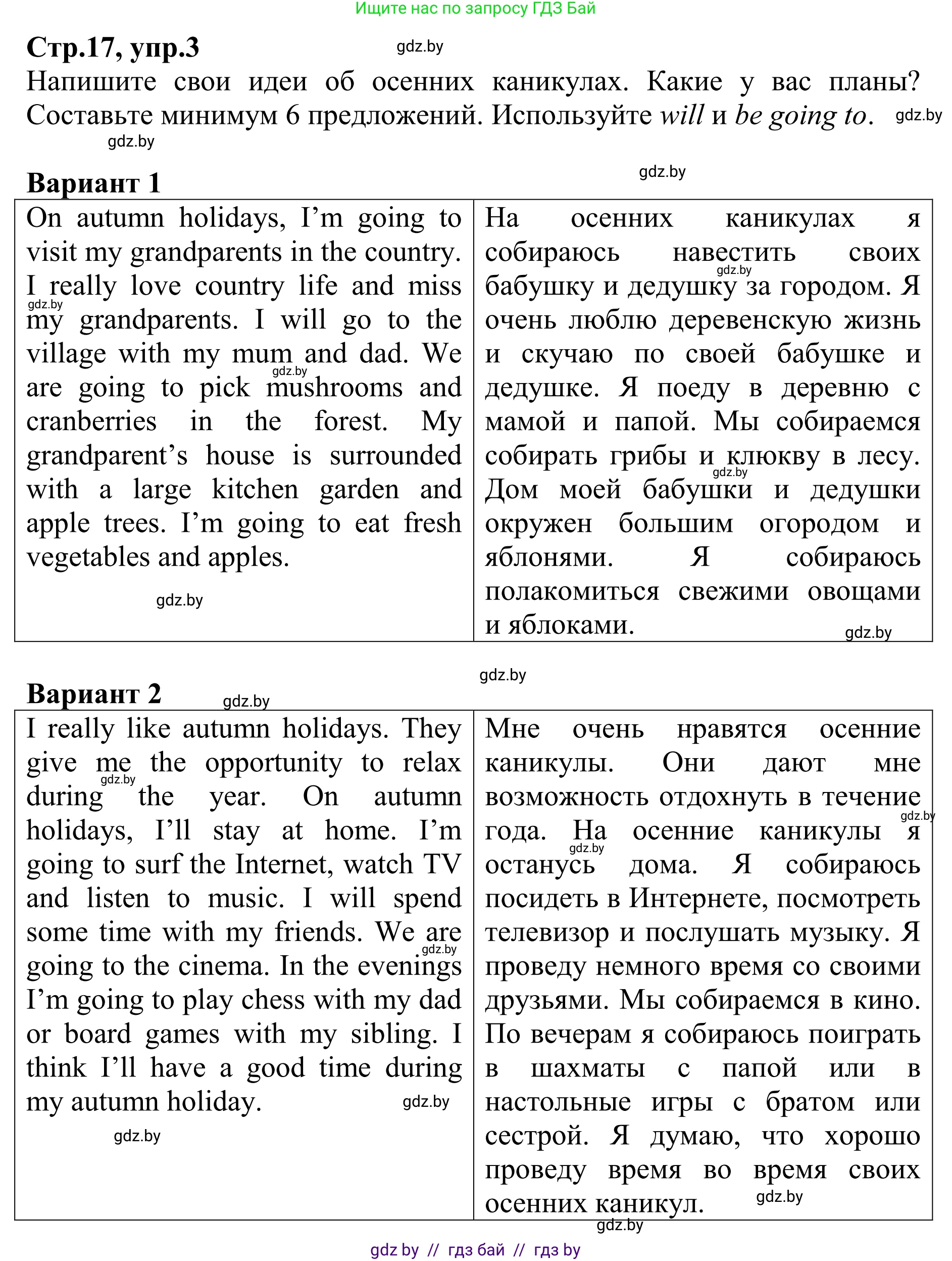 Английский язык (english), 6 класс рабочая тетрадь (activity book), авторы: Юхнель Наталья Валентиновна, Наумова Елена Георгиевна, Малиновская Елена Александровна, Гуськов А Л, Демченко Наталья Валентиновна, Лабода Т Е, Манешина А В, Матюш Н В, издательство Аверсэв, Минск, зелёного цвета, Часть ( Part) 1, страница 17, номер 3, Решение