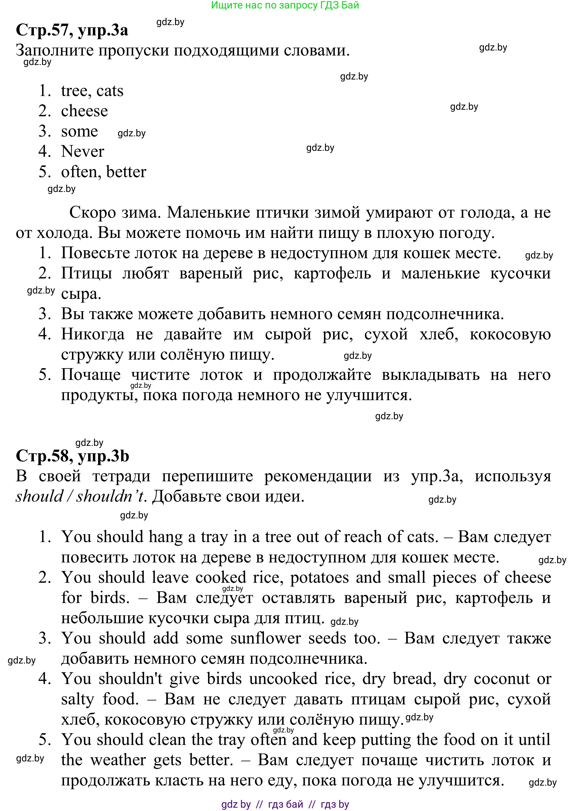 Английский язык (english), 6 класс рабочая тетрадь (activity book), авторы: Юхнель Наталья Валентиновна, Наумова Елена Георгиевна, Малиновская Елена Александровна, Гуськов А Л, Демченко Наталья Валентиновна, Лабода Т Е, Манешина А В, Матюш Н В, издательство Аверсэв, Минск, зелёного цвета, Часть ( Part) 1, страница 57, номер 3, Решение