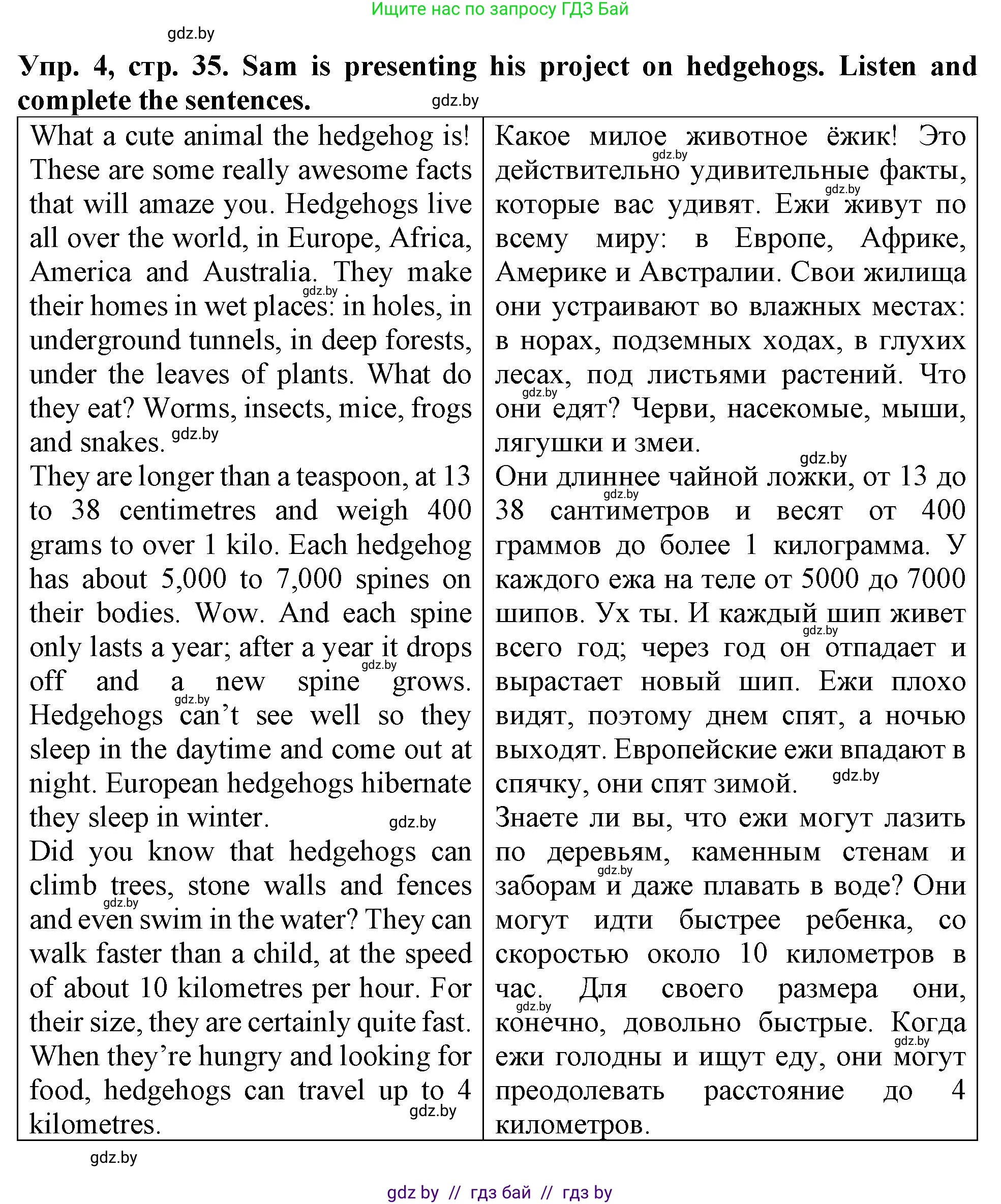 Английский язык (english), 6 класс тесты (test book), авторы: Севрюкова Татьяна Юрьевна, Калишевич Алла Ивановна, издательство Аверсэв, Минск, 2022, оранжевого цвета, страница 35, номер 4, Решение