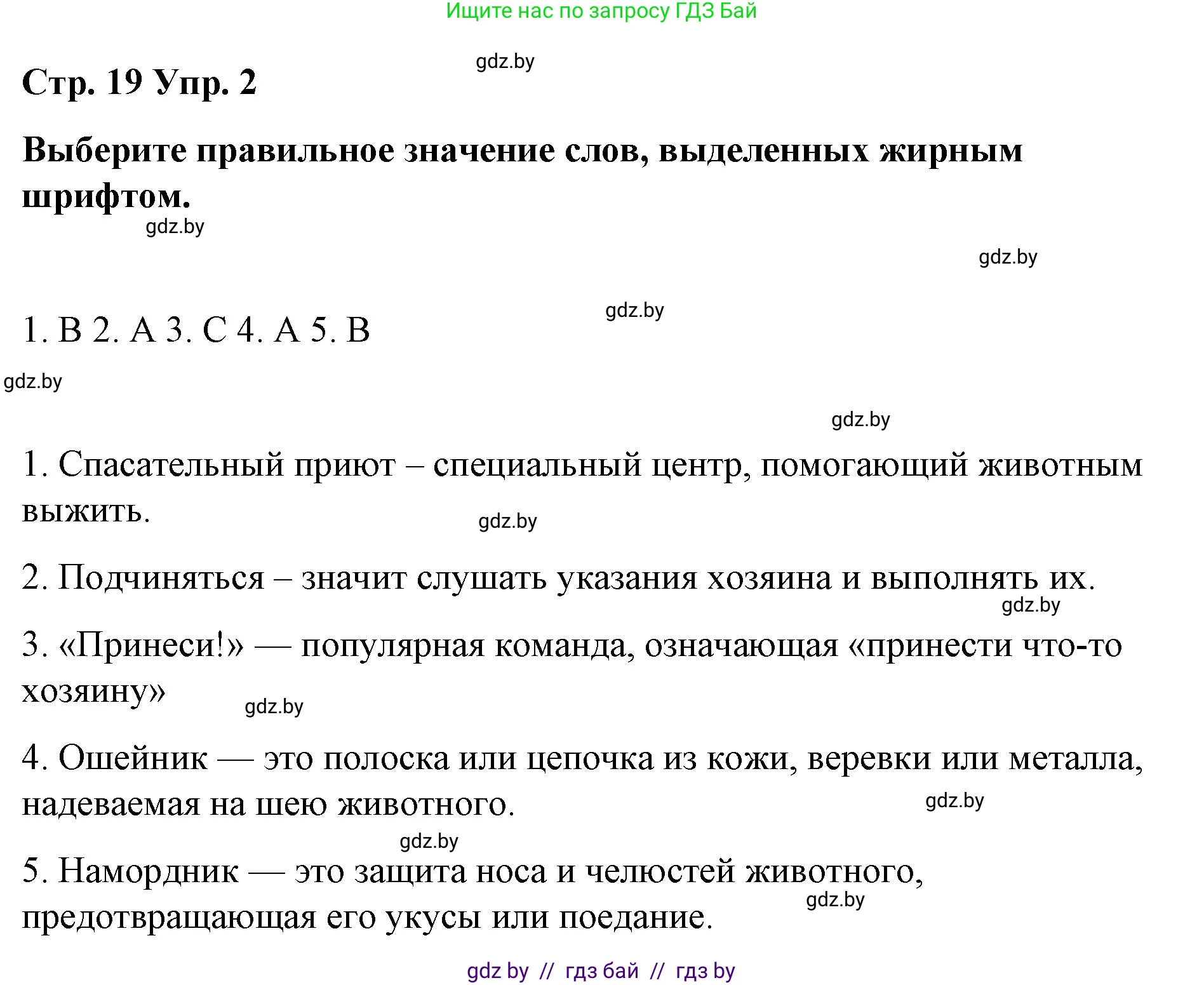 Английский язык (english), 6 класс Рабочая тетрадь (workbook), авторы: Демченко Наталья Валентиновна, Севрюкова Татьяна Юрьевна, Юхнель Наталья Валентиновна, Наумова Елена Георгиевна, Рыбалко О Н, Манешина А В, Маслёнченко Н А, Бушуева Эдите Владиславовна, издательство Аверсэв, Минск, 2020, зелёного цвета, Часть ( Part) 1, страница 19, номер 2, Решение 1