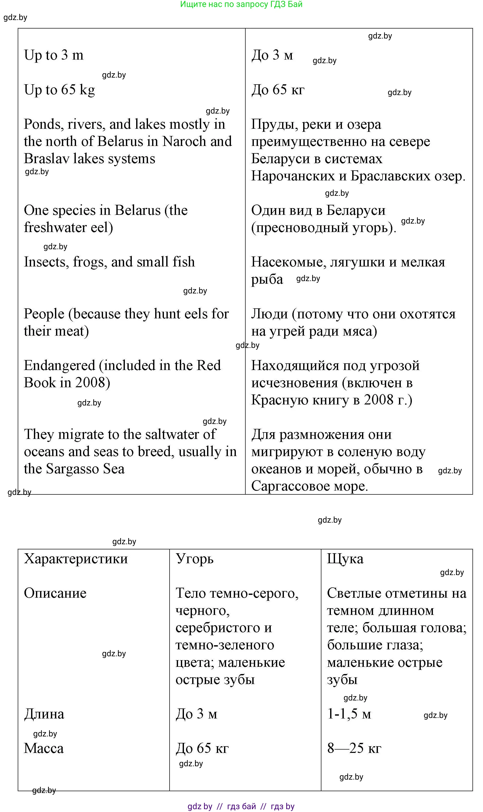 Английский язык (english), 6 класс Рабочая тетрадь (workbook), авторы: Демченко Наталья Валентиновна, Севрюкова Татьяна Юрьевна, Юхнель Наталья Валентиновна, Наумова Елена Георгиевна, Рыбалко О Н, Манешина А В, Маслёнченко Н А, Бушуева Эдите Владиславовна, издательство Аверсэв, Минск, 2020, зелёного цвета, Часть ( Part) 2, страница 31, номер 3, Решение 1 (продолжение 2)