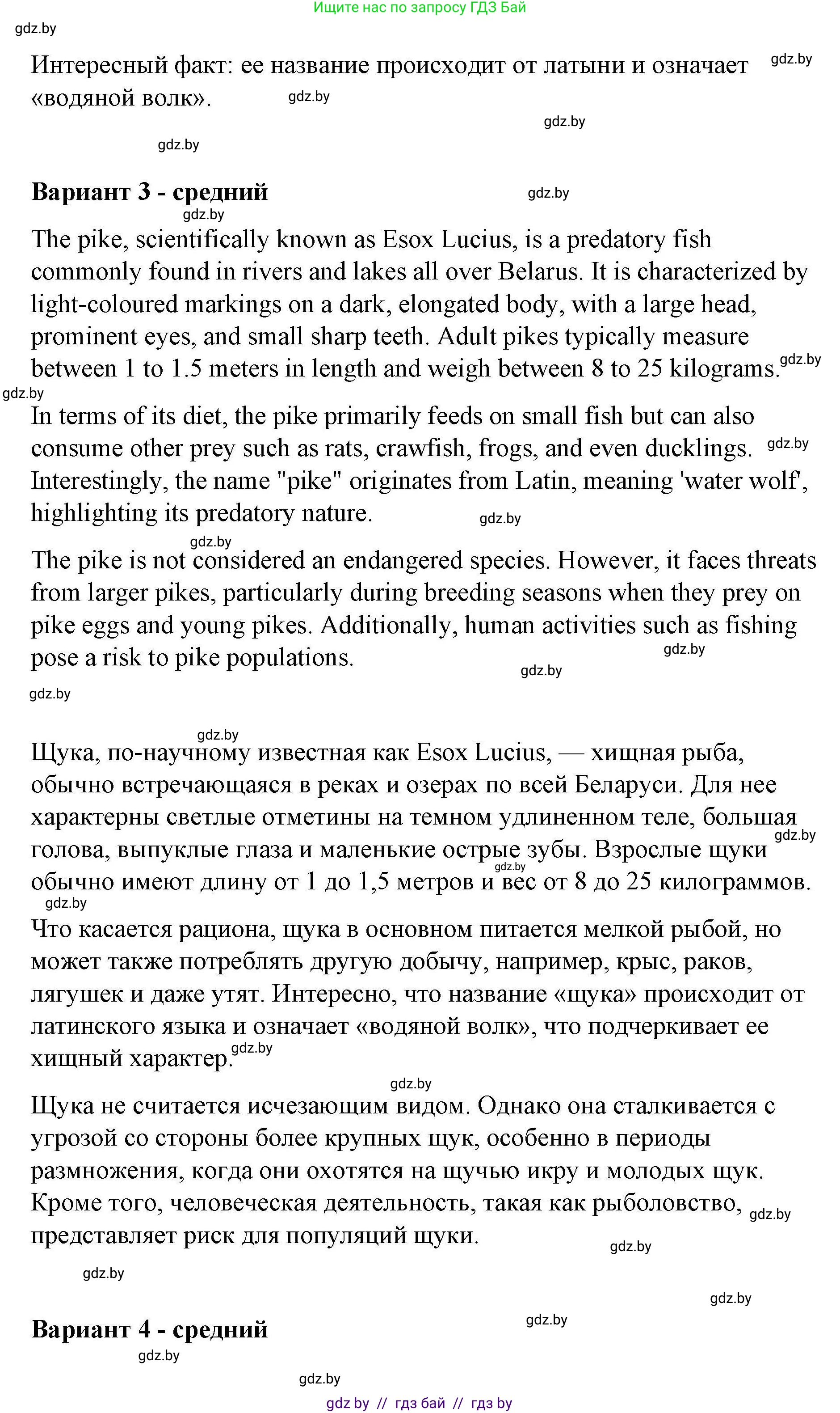 Английский язык (english), 6 класс Рабочая тетрадь (workbook), авторы: Демченко Наталья Валентиновна, Севрюкова Татьяна Юрьевна, Юхнель Наталья Валентиновна, Наумова Елена Георгиевна, Рыбалко О Н, Манешина А В, Маслёнченко Н А, Бушуева Эдите Владиславовна, издательство Аверсэв, Минск, 2020, зелёного цвета, Часть ( Part) 2, страница 31, номер 3, Решение 1 (продолжение 5)