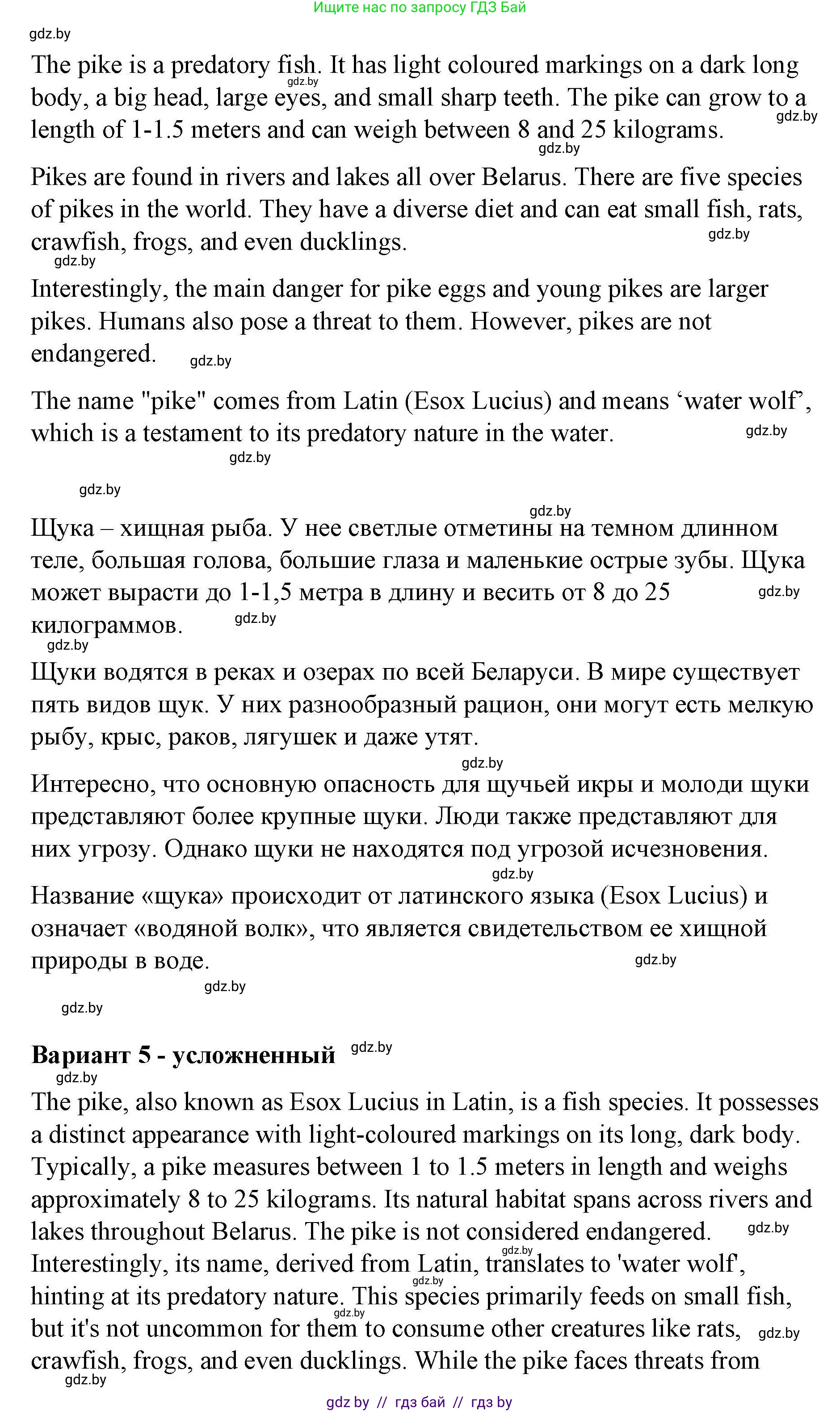 Английский язык (english), 6 класс Рабочая тетрадь (workbook), авторы: Демченко Наталья Валентиновна, Севрюкова Татьяна Юрьевна, Юхнель Наталья Валентиновна, Наумова Елена Георгиевна, Рыбалко О Н, Манешина А В, Маслёнченко Н А, Бушуева Эдите Владиславовна, издательство Аверсэв, Минск, 2020, зелёного цвета, Часть ( Part) 2, страница 31, номер 3, Решение 1 (продолжение 6)