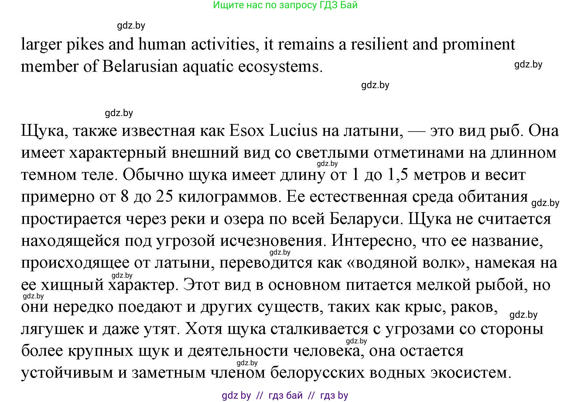 Английский язык (english), 6 класс Рабочая тетрадь (workbook), авторы: Демченко Наталья Валентиновна, Севрюкова Татьяна Юрьевна, Юхнель Наталья Валентиновна, Наумова Елена Георгиевна, Рыбалко О Н, Манешина А В, Маслёнченко Н А, Бушуева Эдите Владиславовна, издательство Аверсэв, Минск, 2020, зелёного цвета, Часть ( Part) 2, страница 31, номер 3, Решение 1 (продолжение 7)