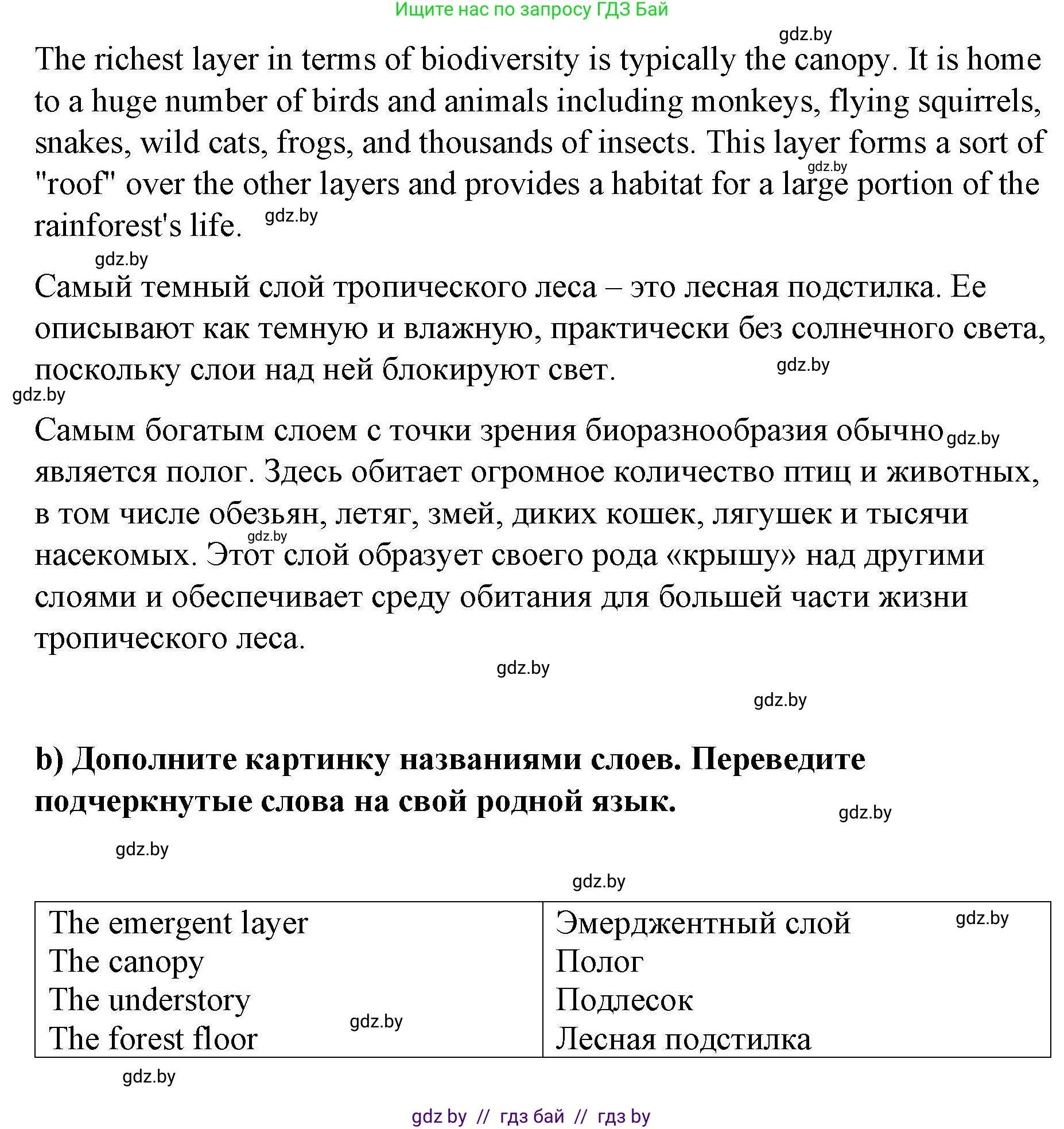 Английский язык (english), 6 класс Рабочая тетрадь (workbook), авторы: Демченко Наталья Валентиновна, Севрюкова Татьяна Юрьевна, Юхнель Наталья Валентиновна, Наумова Елена Георгиевна, Рыбалко О Н, Манешина А В, Маслёнченко Н А, Бушуева Эдите Владиславовна, издательство Аверсэв, Минск, 2020, зелёного цвета, Часть ( Part) 2, страница 57, номер 3, Решение 1 (продолжение 3)