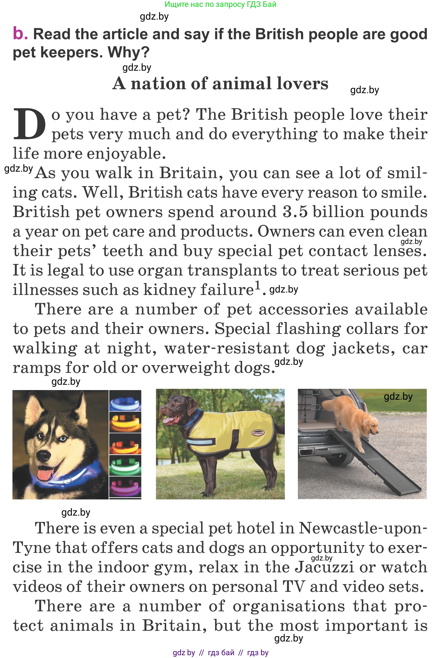 Английский язык (english), 6 класс Учебник, авторы: Демченко Наталья Валентиновна, Севрюкова Татьяна Юрьевна, Юхнель Наталья Валентиновна, Наумова Елена Георгиевна, Рыбалко О Н, Манешина А В, Маслёнченко Н А, издательство Вышэйшая школа, Минск, 2018, красного цвета, Часть 1, страница 33, номер 2, Условие (продолжение 2)