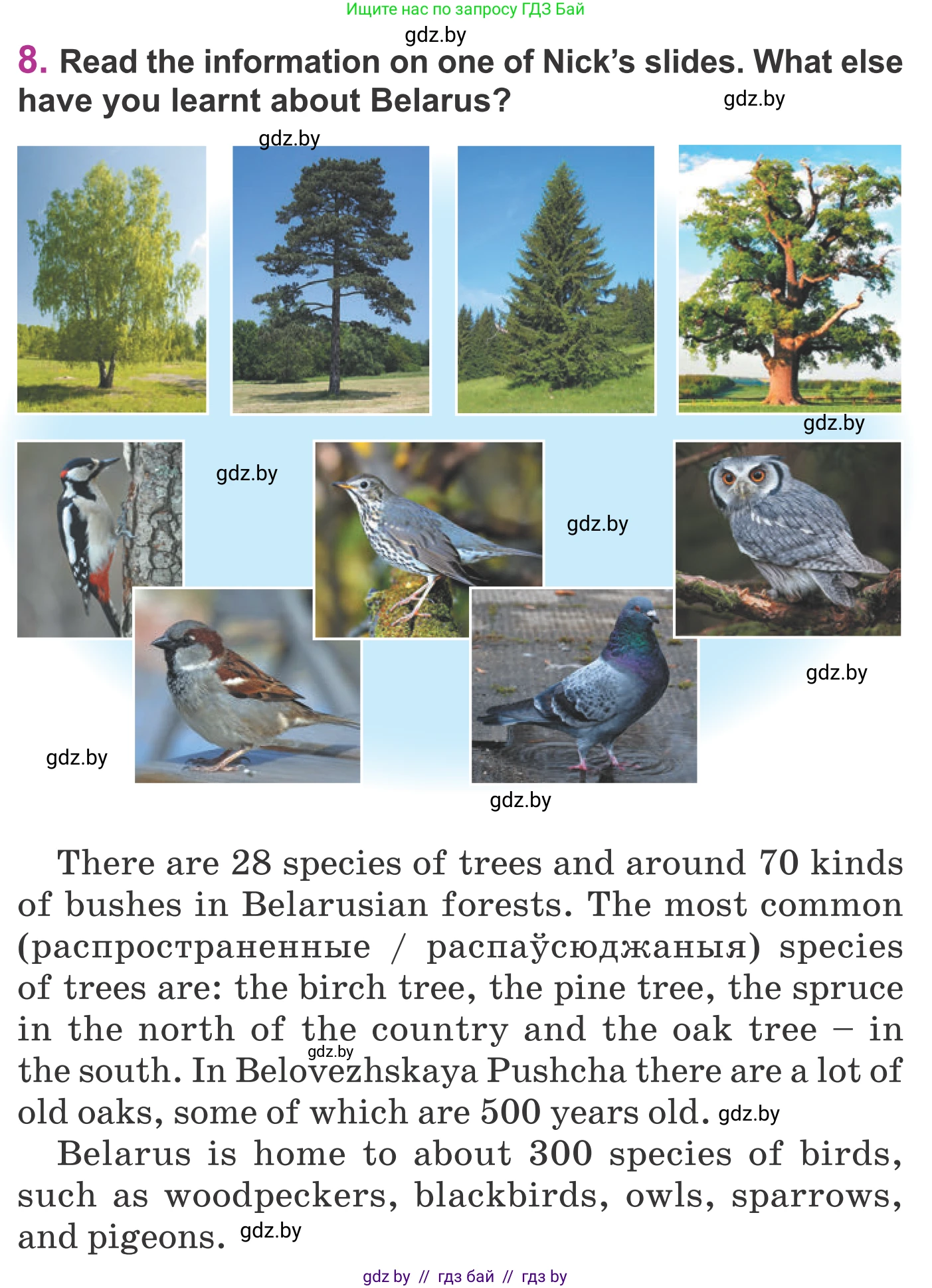 Английский язык (english), 6 класс Учебник, авторы: Демченко Наталья Валентиновна, Севрюкова Татьяна Юрьевна, Юхнель Наталья Валентиновна, Наумова Елена Георгиевна, Рыбалко О Н, Манешина А В, Маслёнченко Н А, издательство Вышэйшая школа, Минск, 2018, красного цвета, Часть 2, страница 50, номер 8, Условие